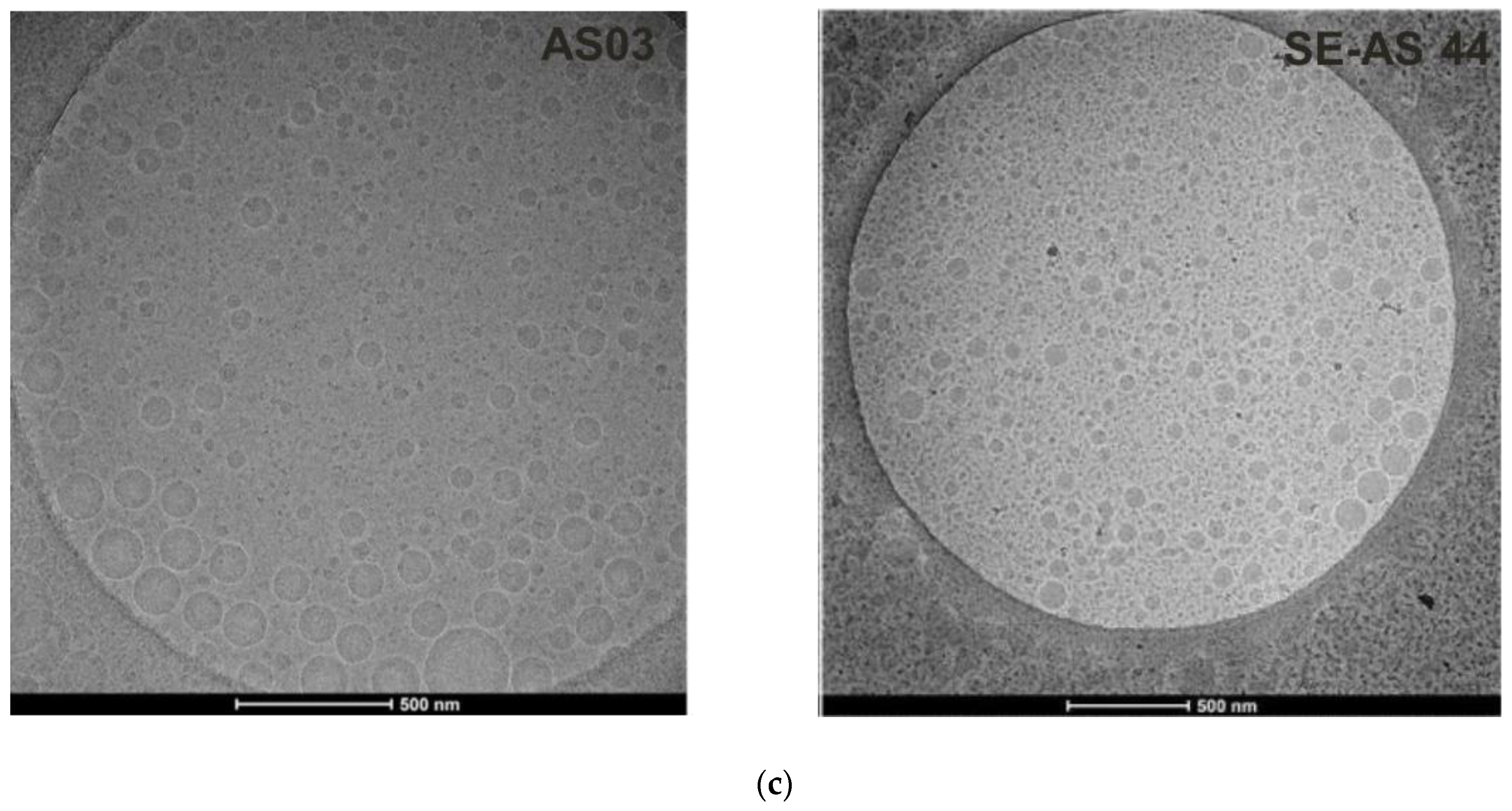 Pharmaceutics 15 00238 g001b