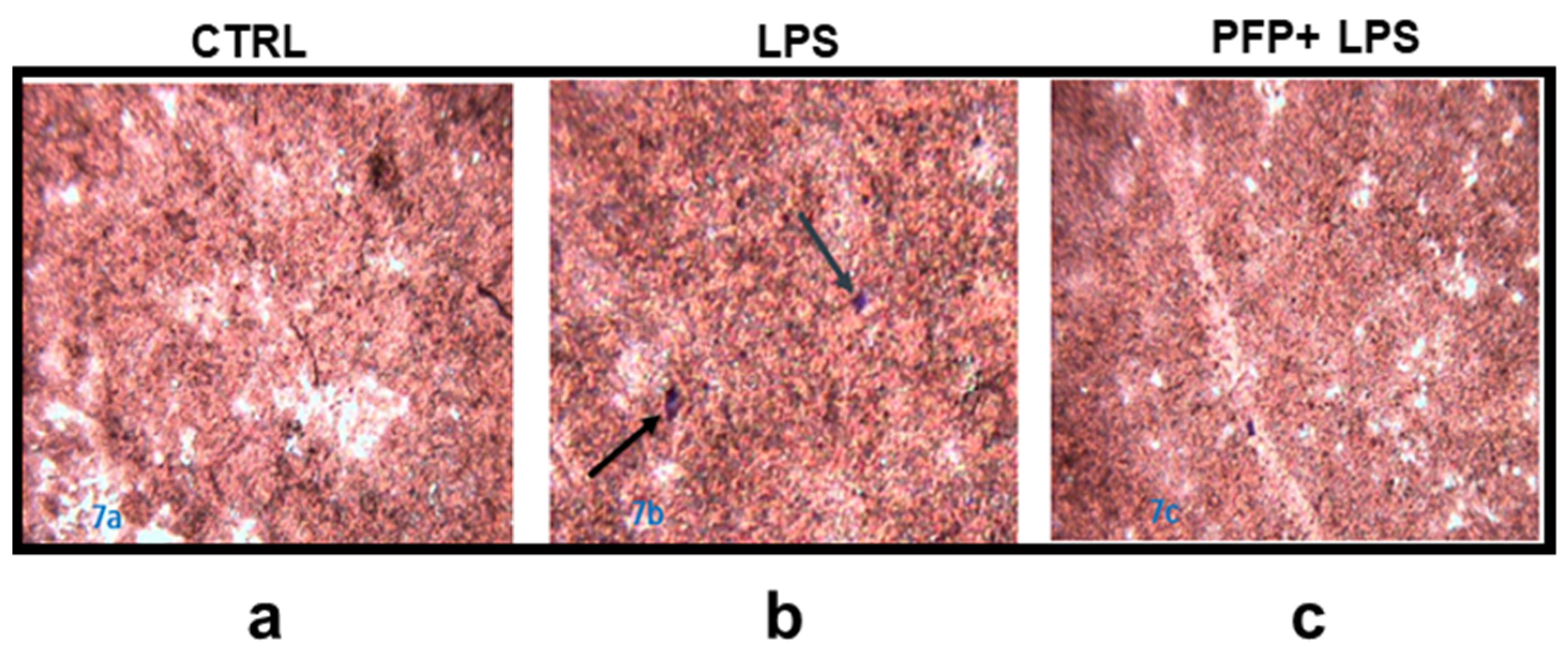 Pharmaceutics 15 00240 g007