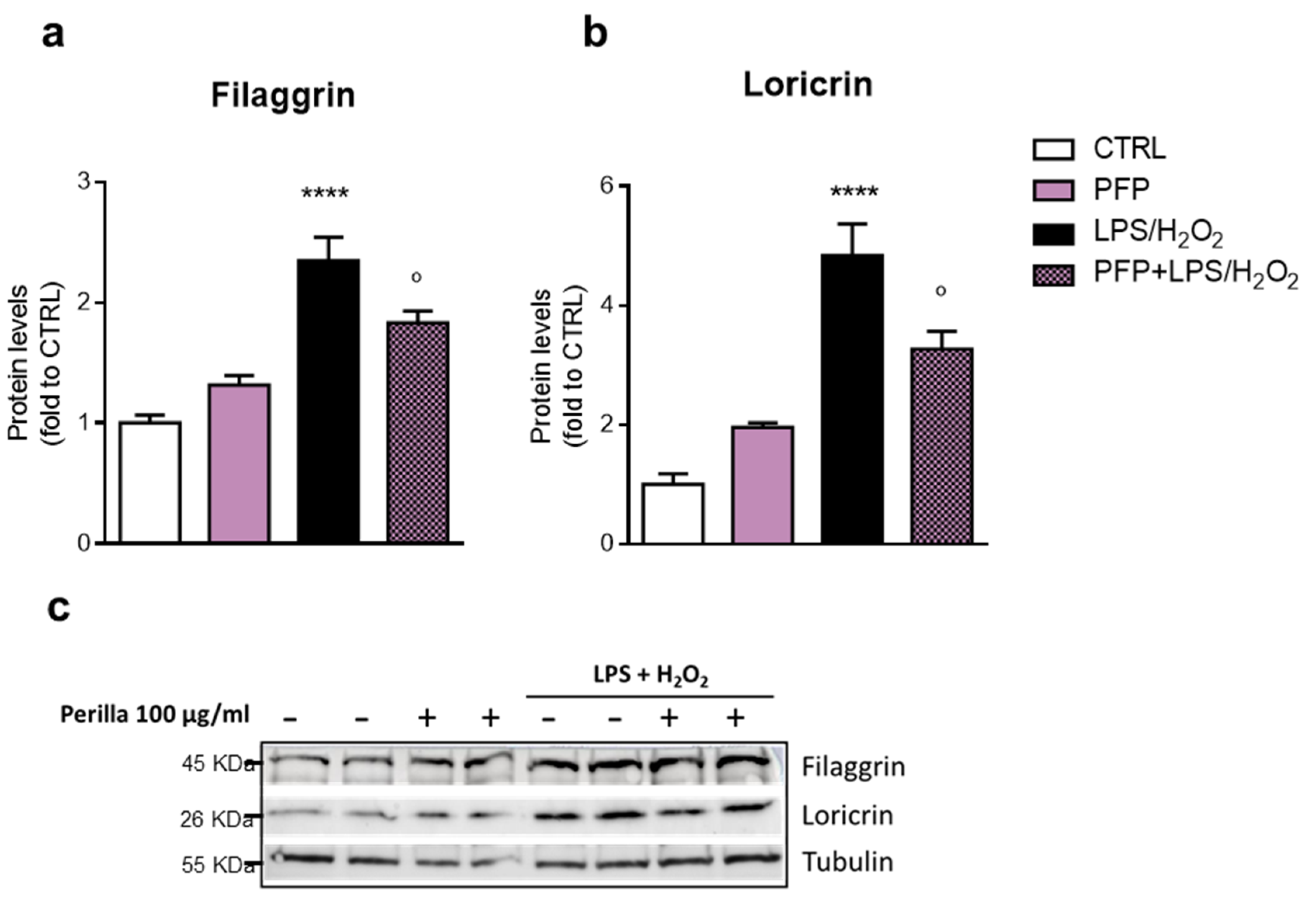Pharmaceutics 15 00240 g009