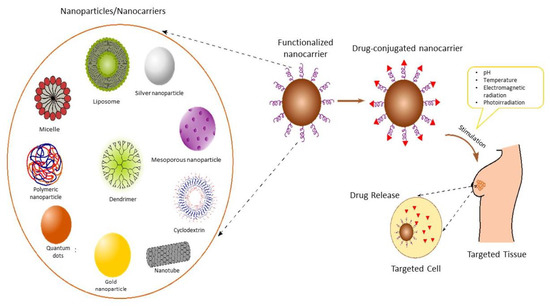 Recent Advances in Targeted Nanocarriers for the Management of Triple ...