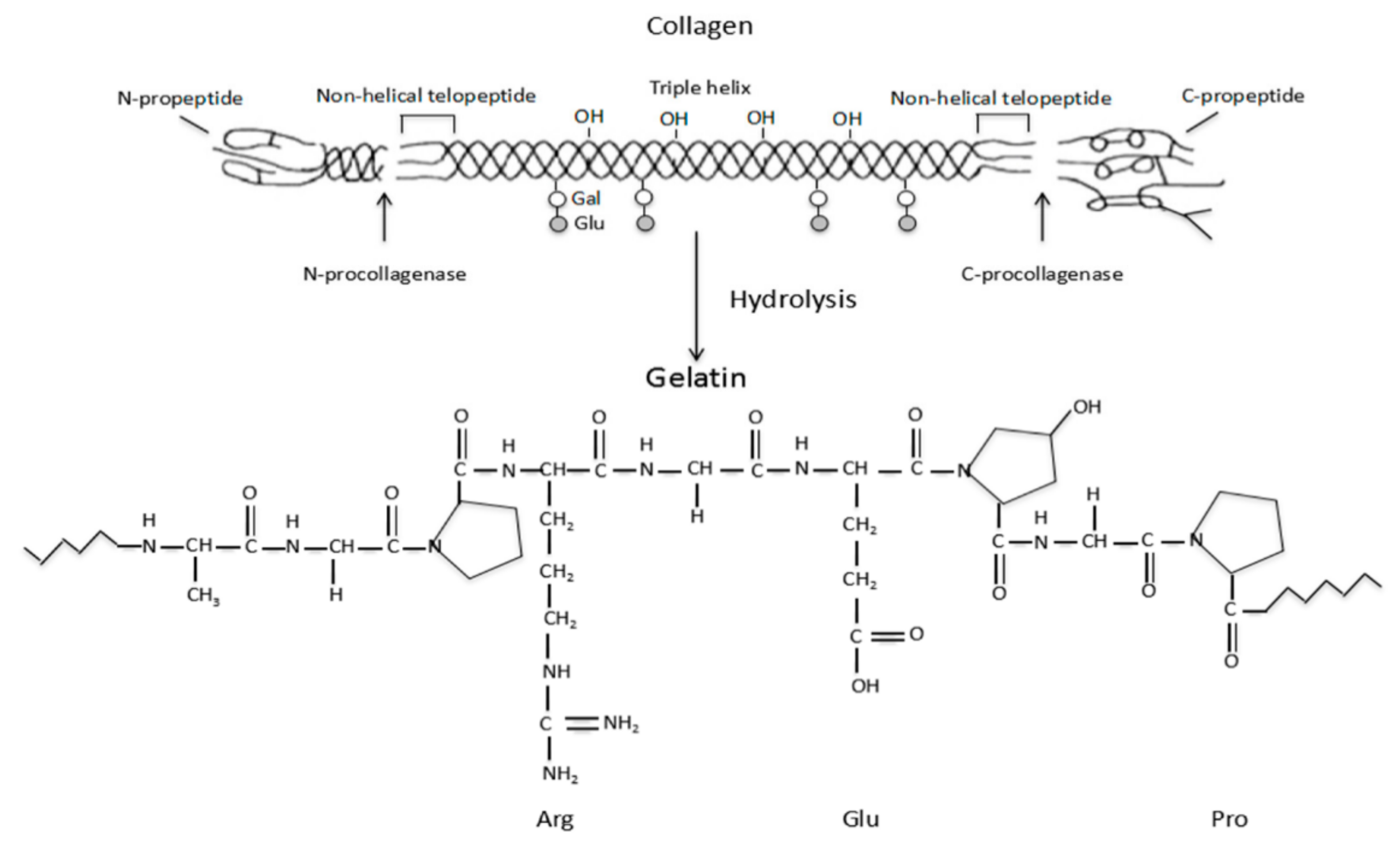 Pharmaceutics 15 00255 g002