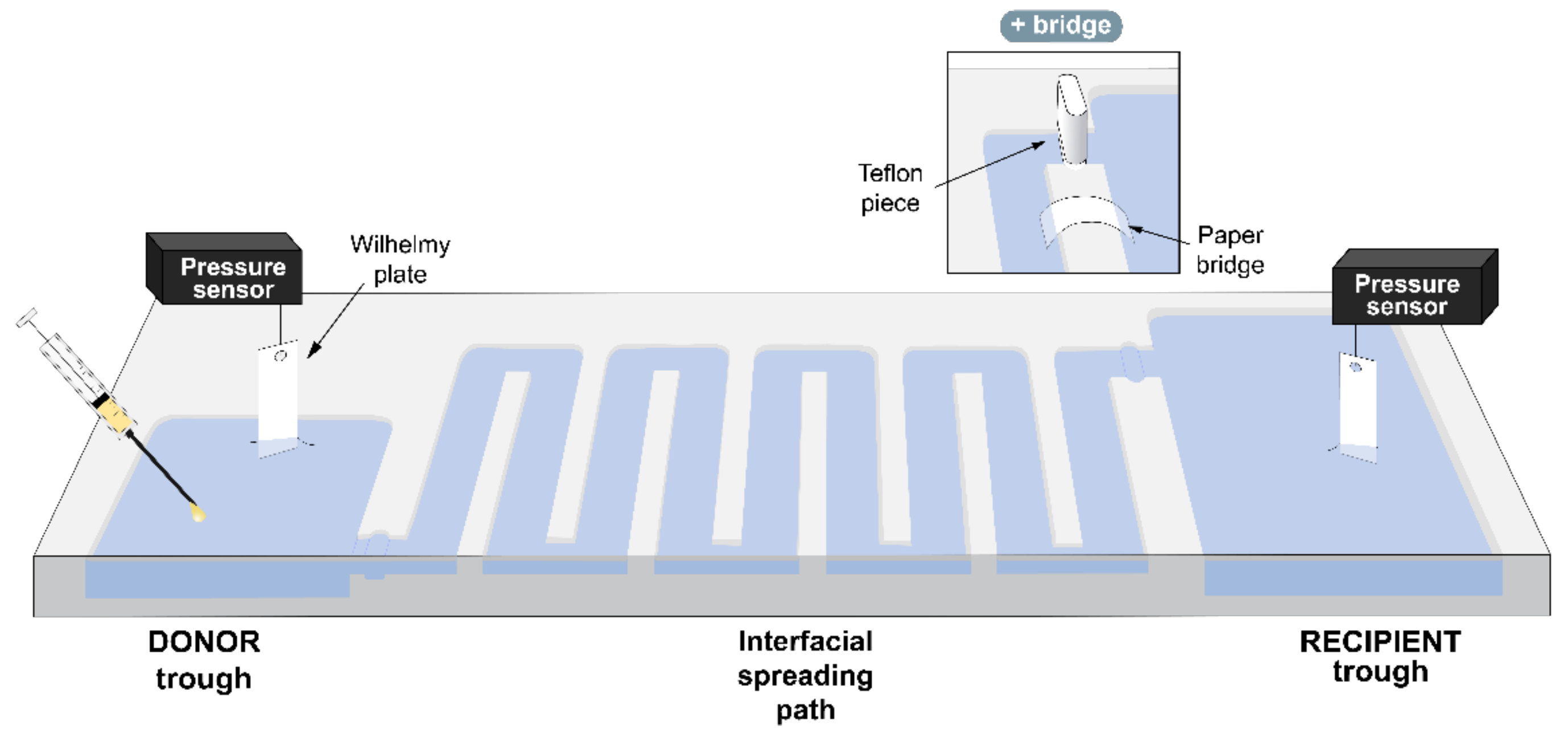 Pharmaceutics 15 00256 g001