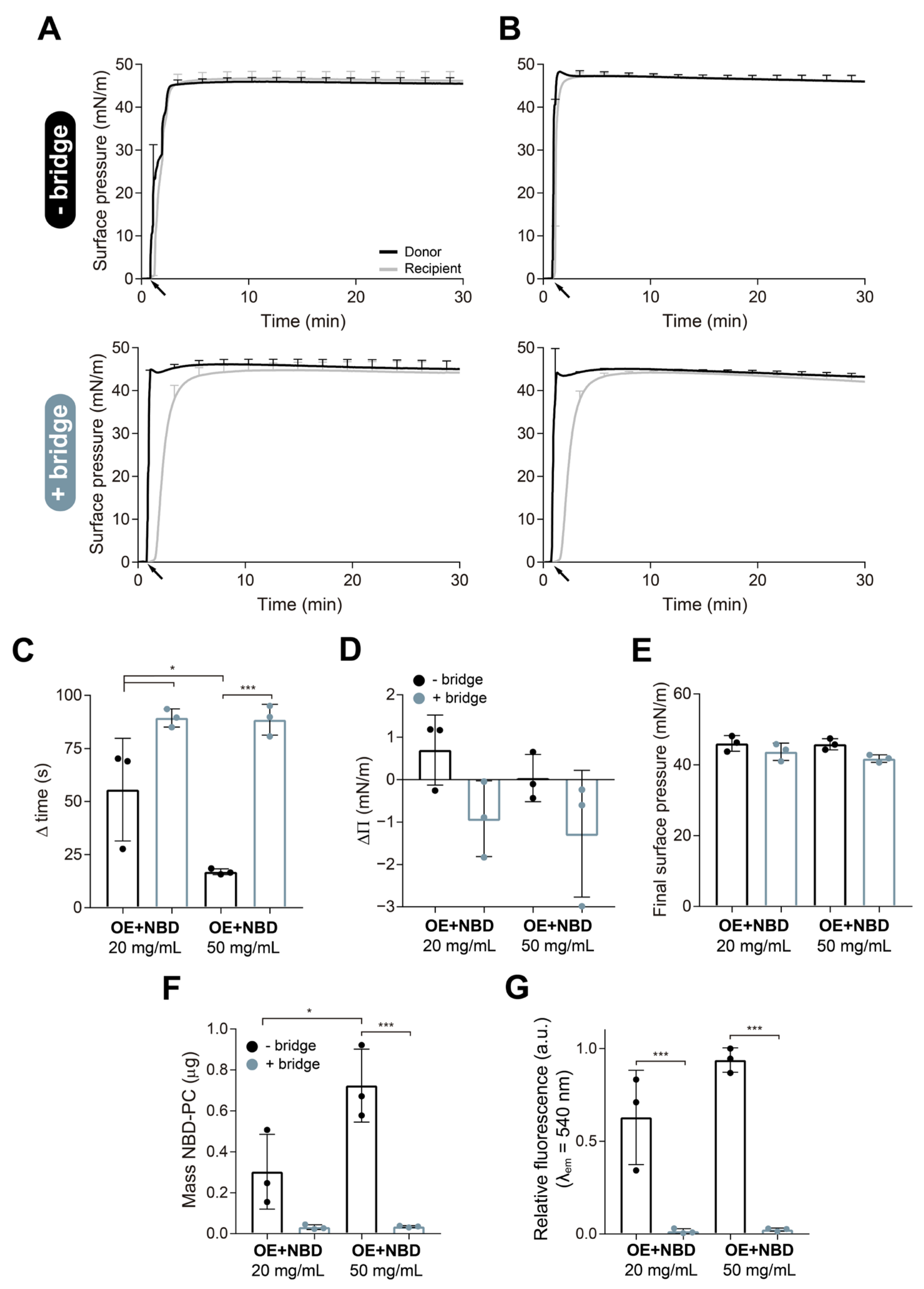 Pharmaceutics 15 00256 g002