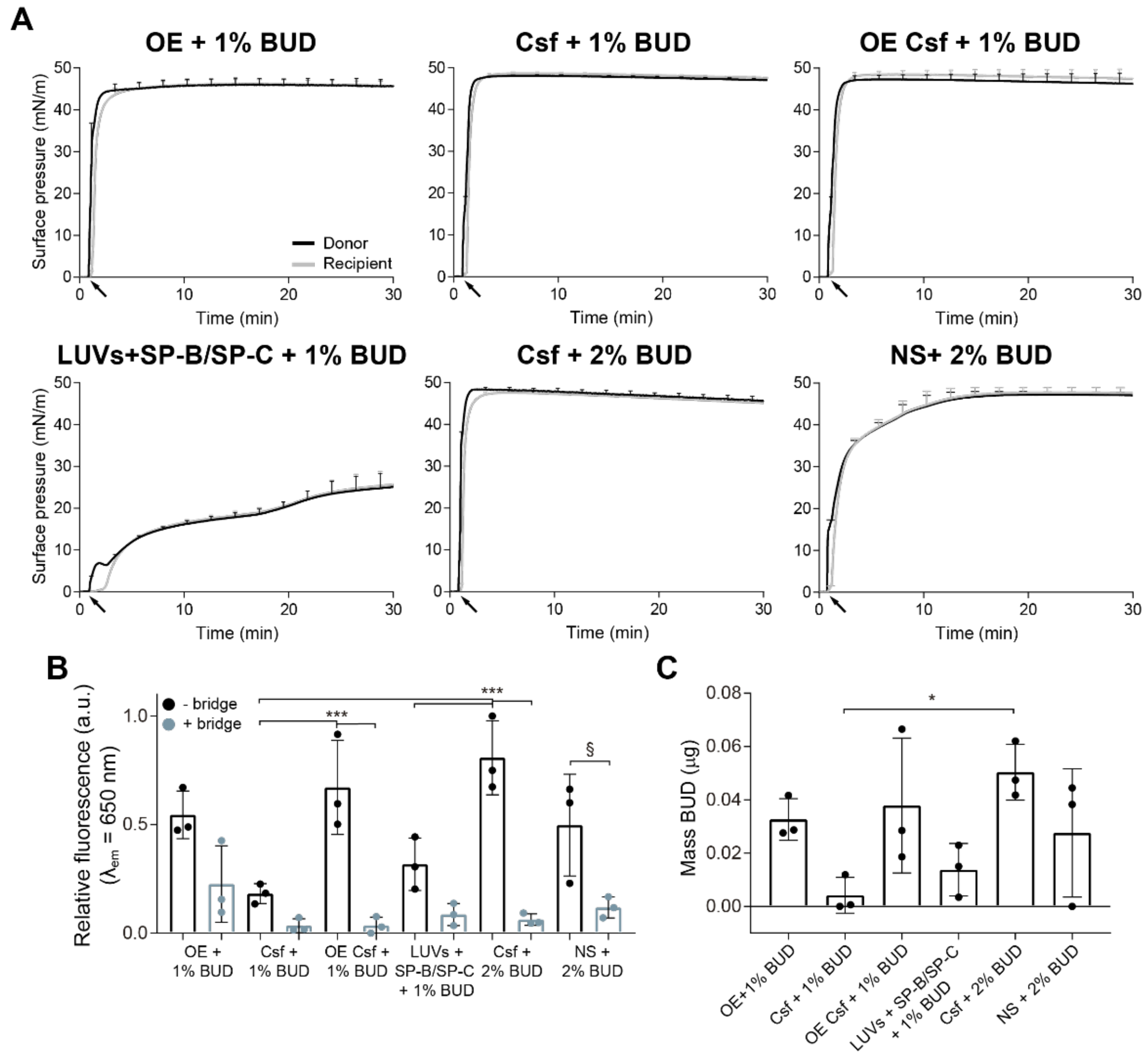 Pharmaceutics 15 00256 g005