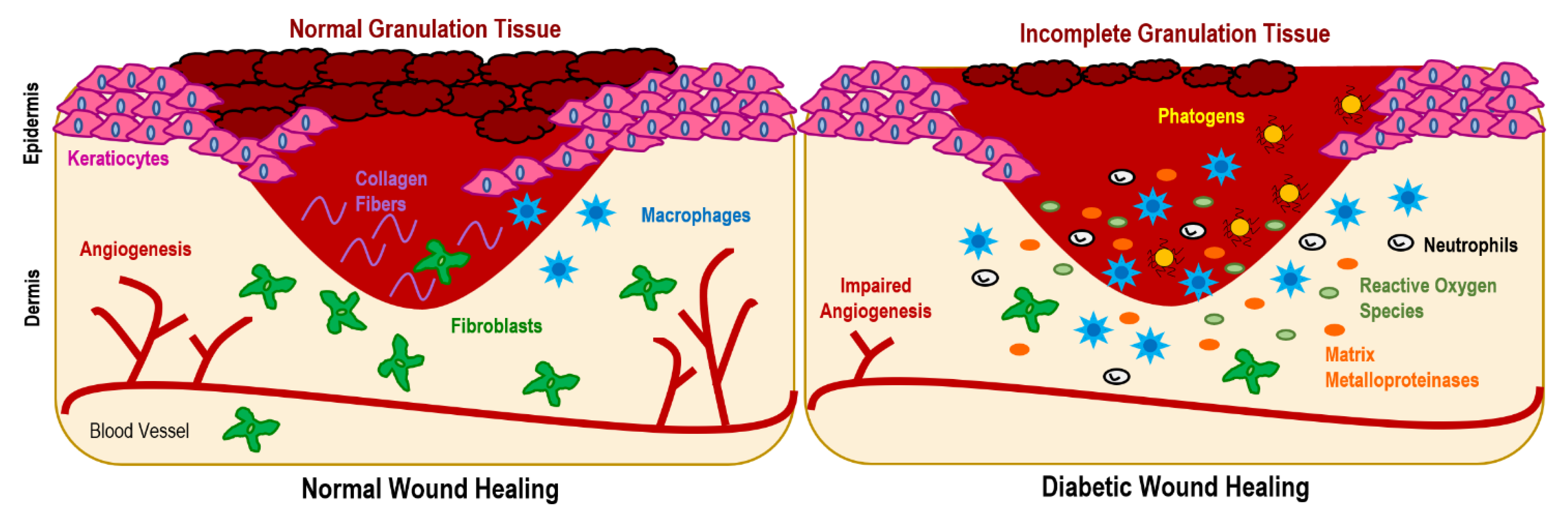 Pharmaceutics 15 00258 g002