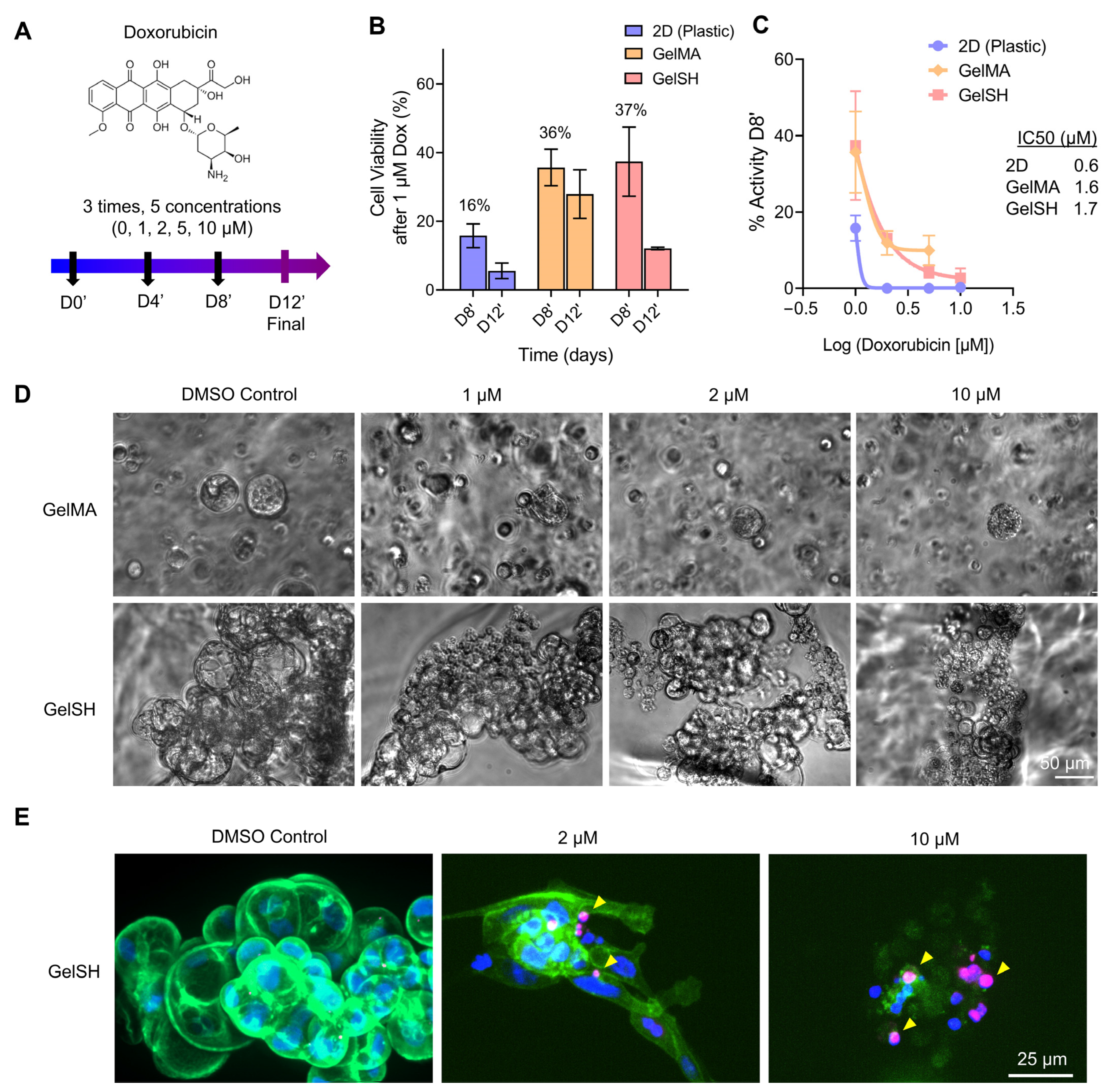 Pharmaceutics 15 00261 g006
