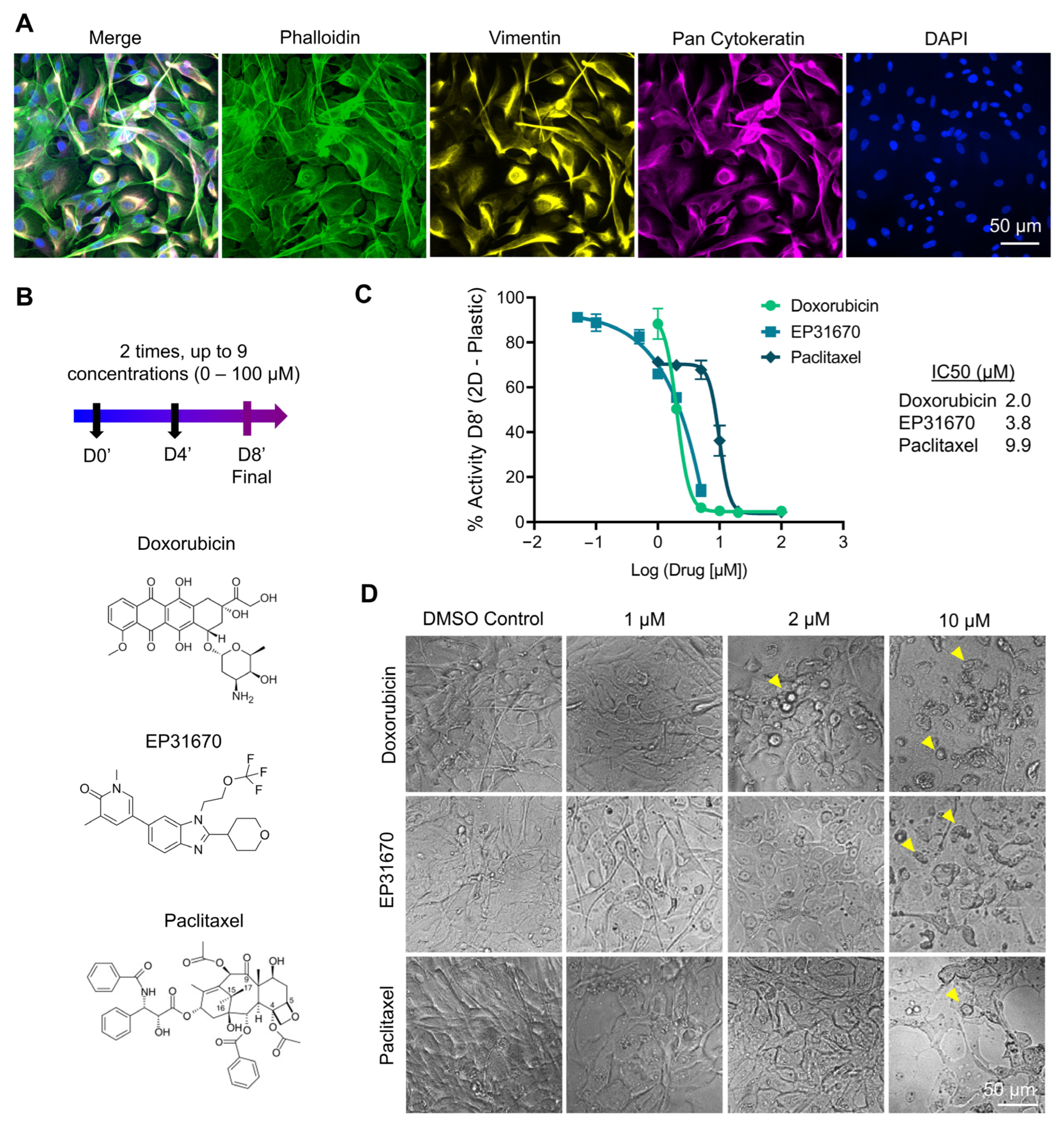Pharmaceutics 15 00261 g007
