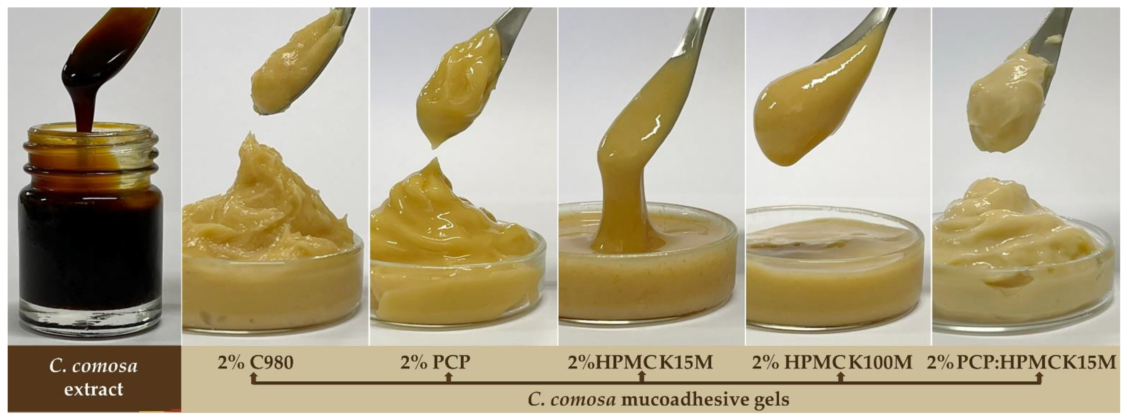 Pharmaceutics 15 00264 g002 Pharmaceutics 15 00264 g002