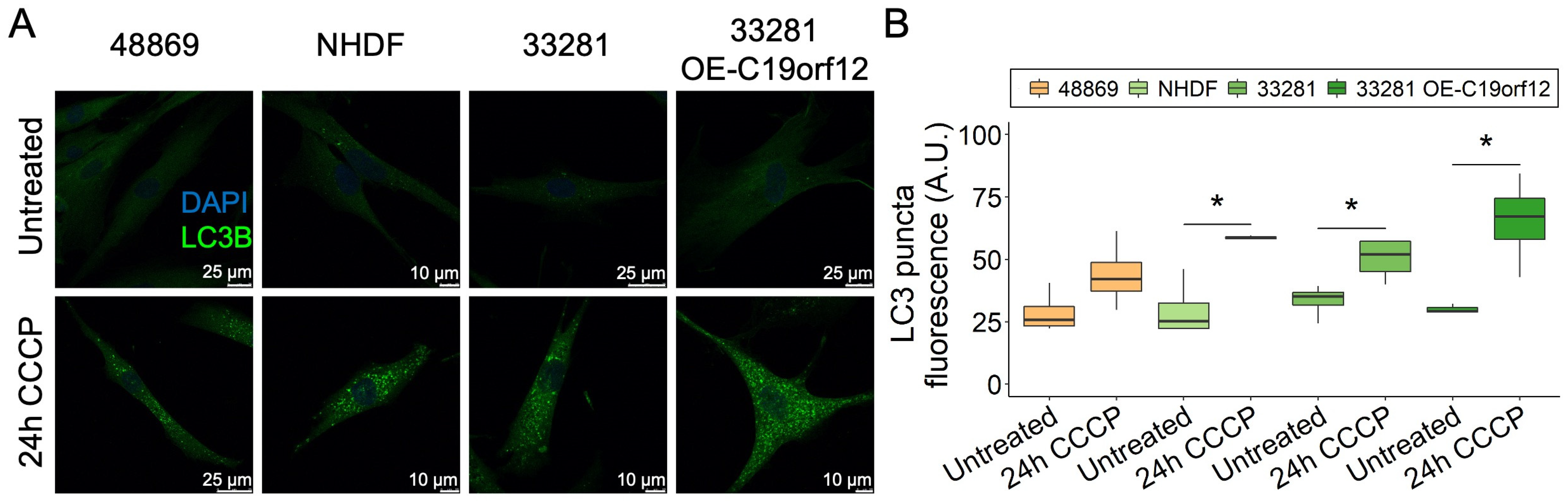 Pharmaceutics 15 00267 g004