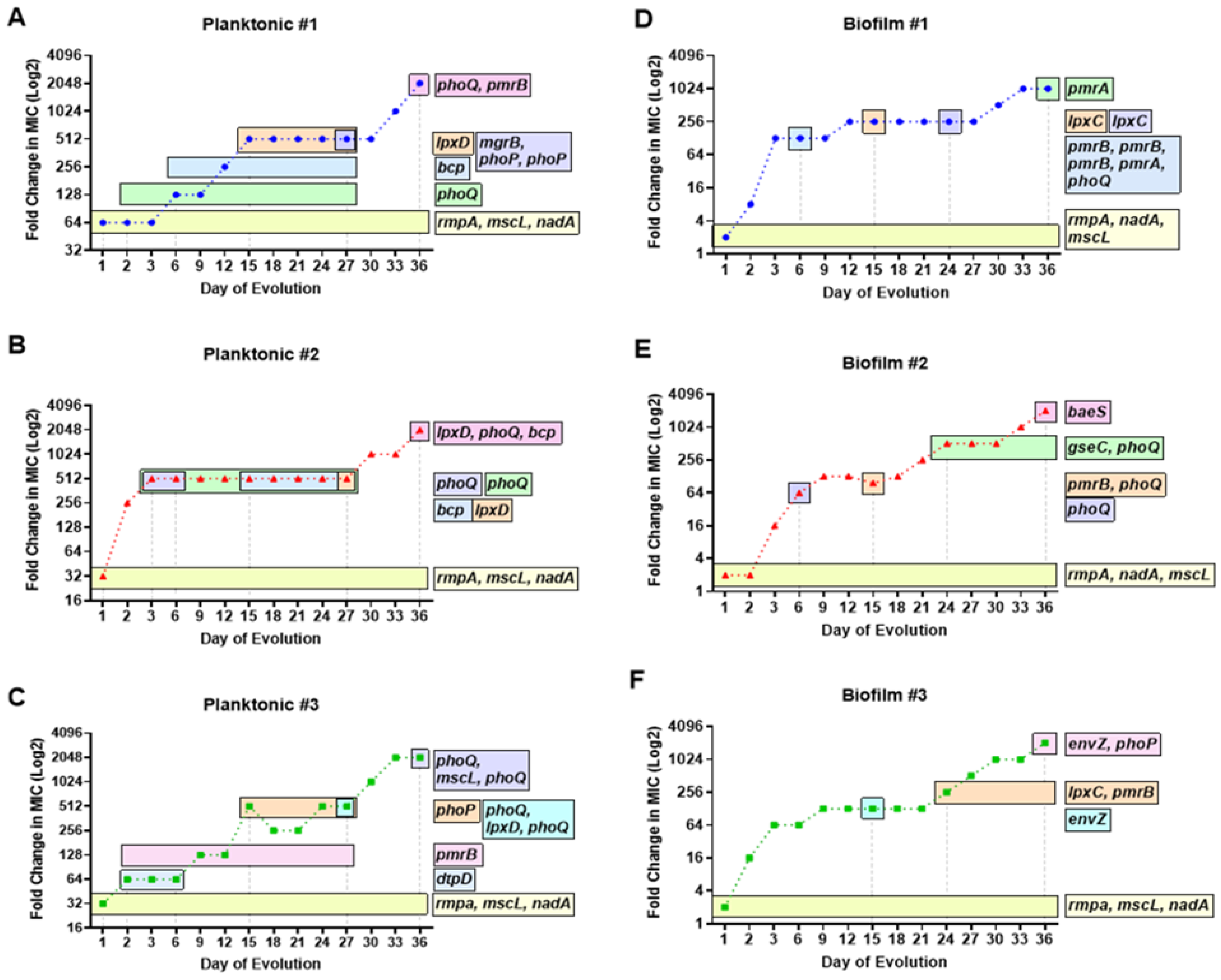 Pharmaceutics 15 00270 g003