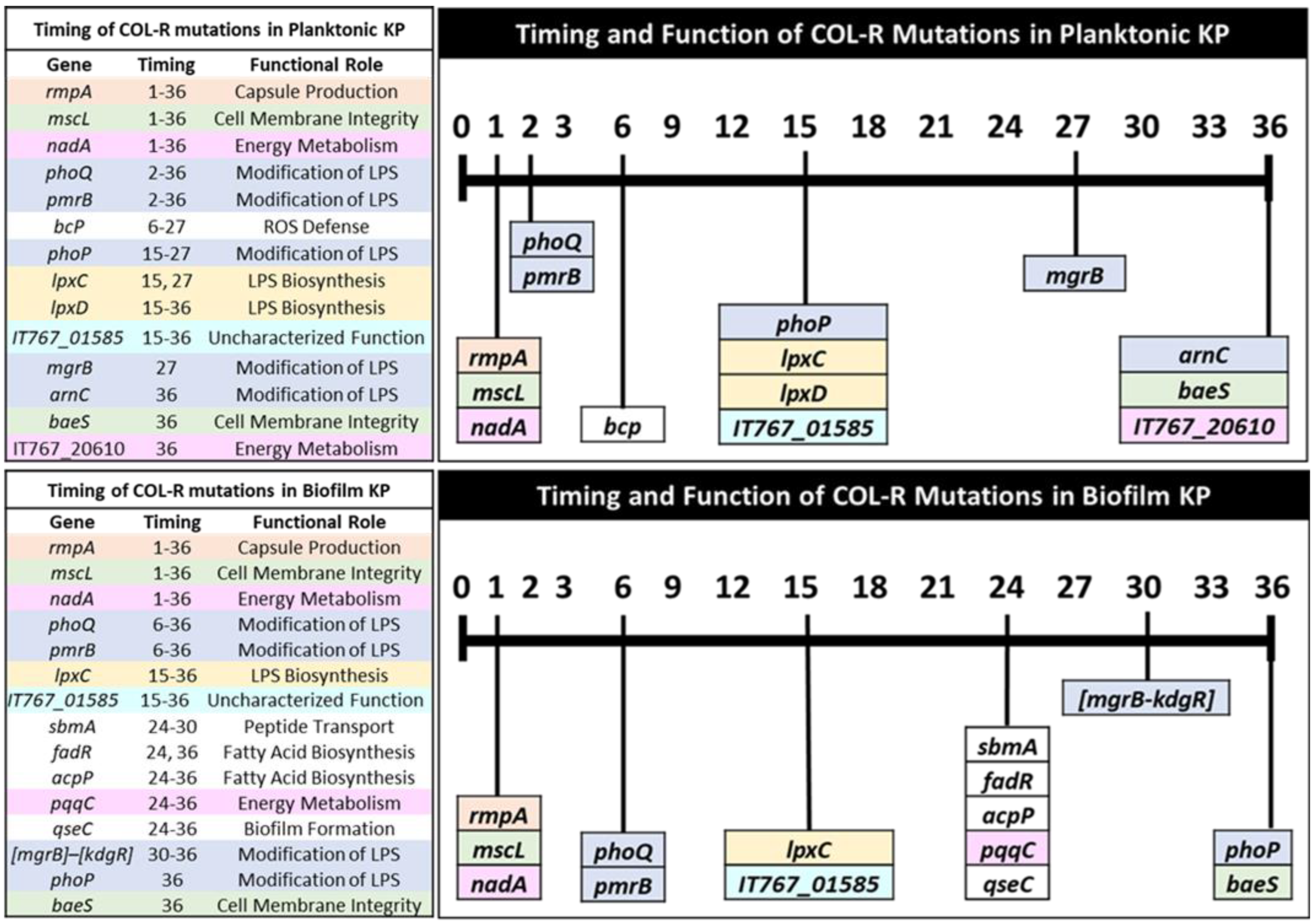 Pharmaceutics 15 00270 g004
