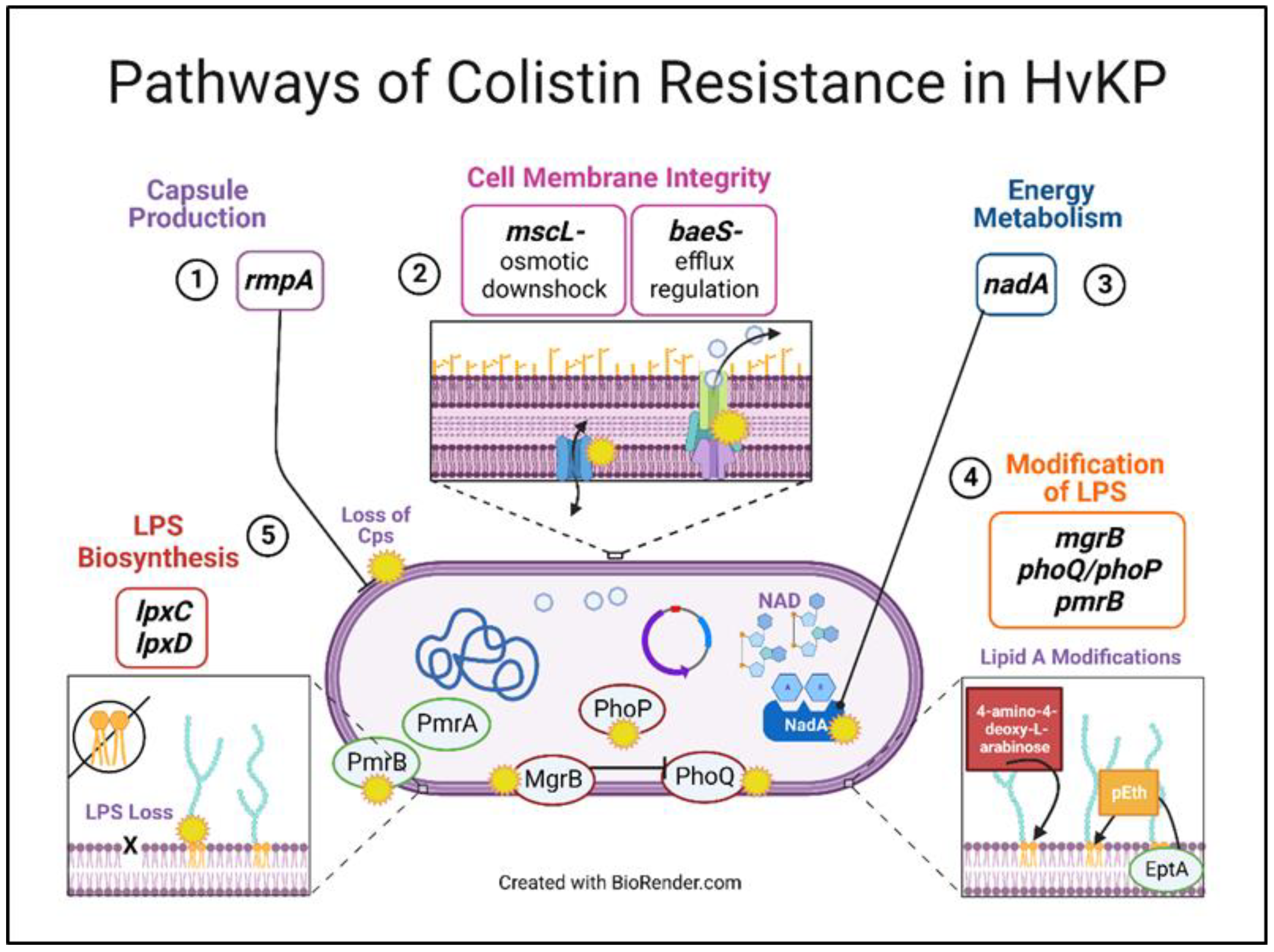 Pharmaceutics 15 00270 g005