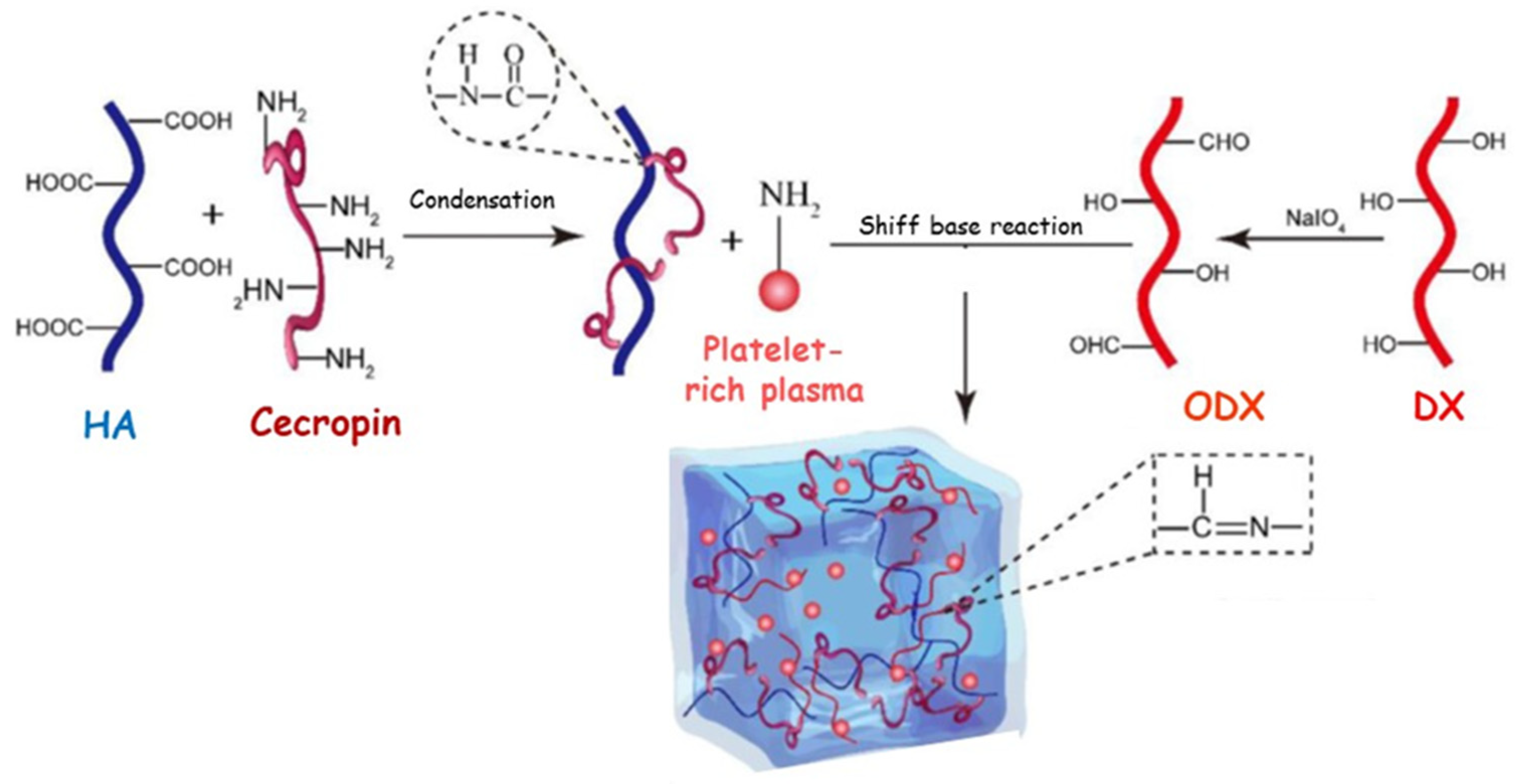 Pharmaceutics 15 00271 g006