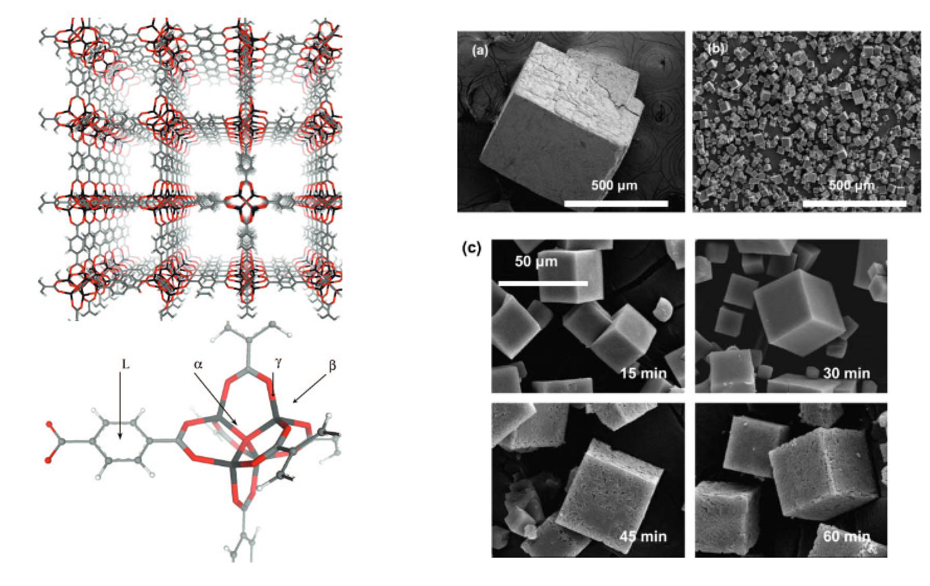 Pharmaceutics 15 00274 g001 Pharmaceutics 15 00274 g001
