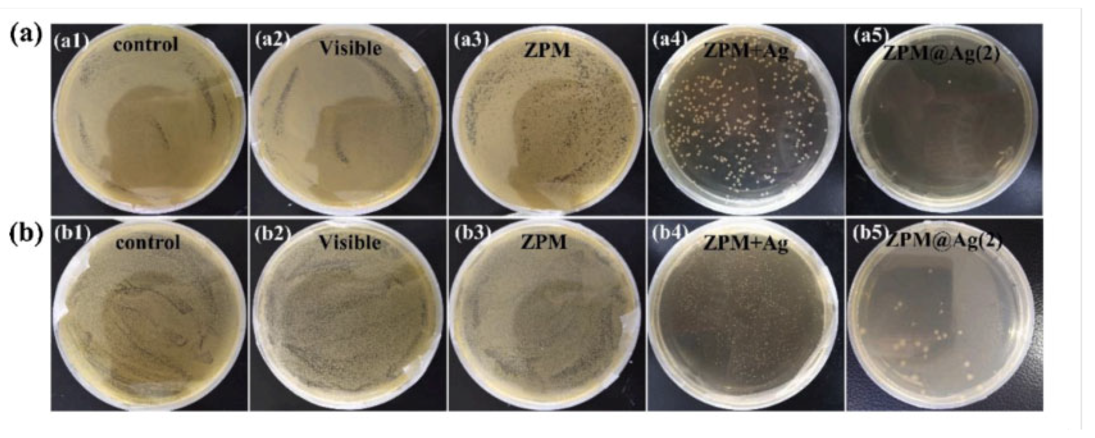 Pharmaceutics 15 00274 g010 Pharmaceutics 15 00274 g010
