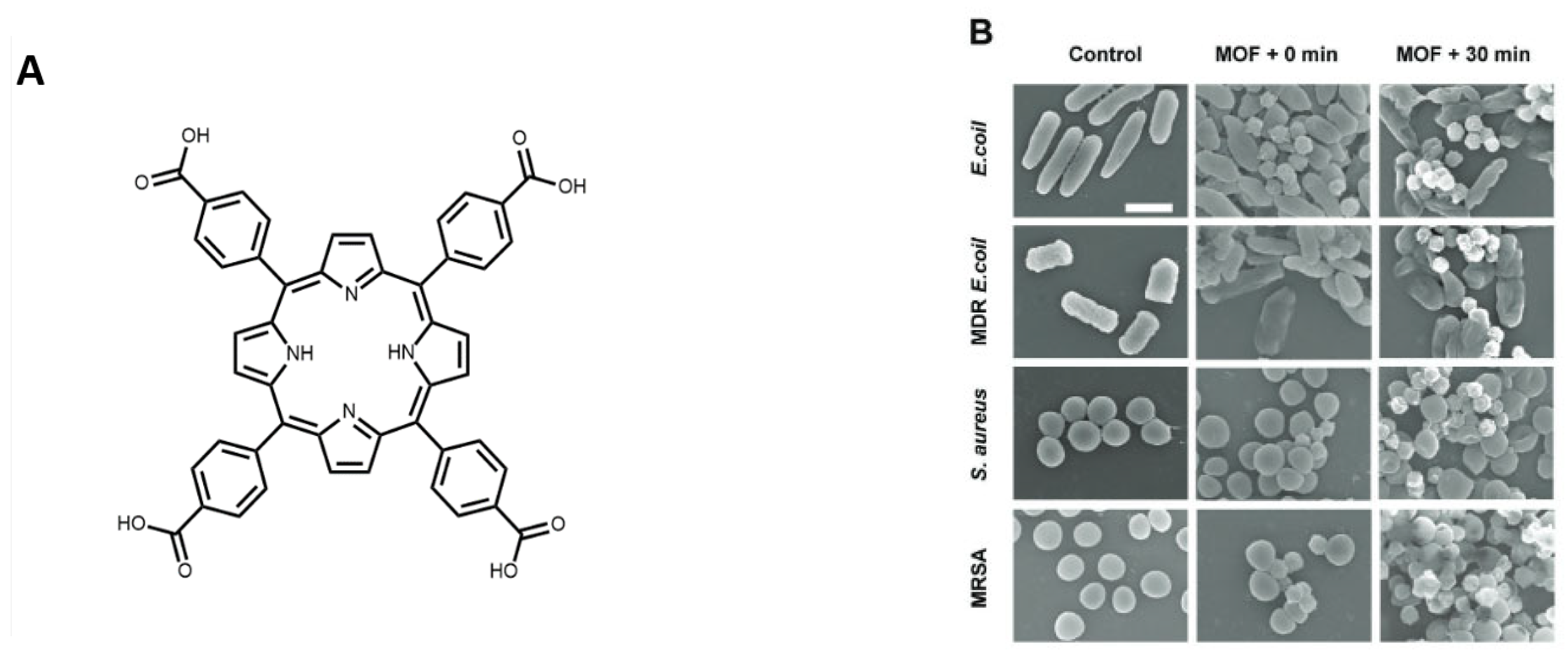 Pharmaceutics 15 00274 g011 Pharmaceutics 15 00274 g011