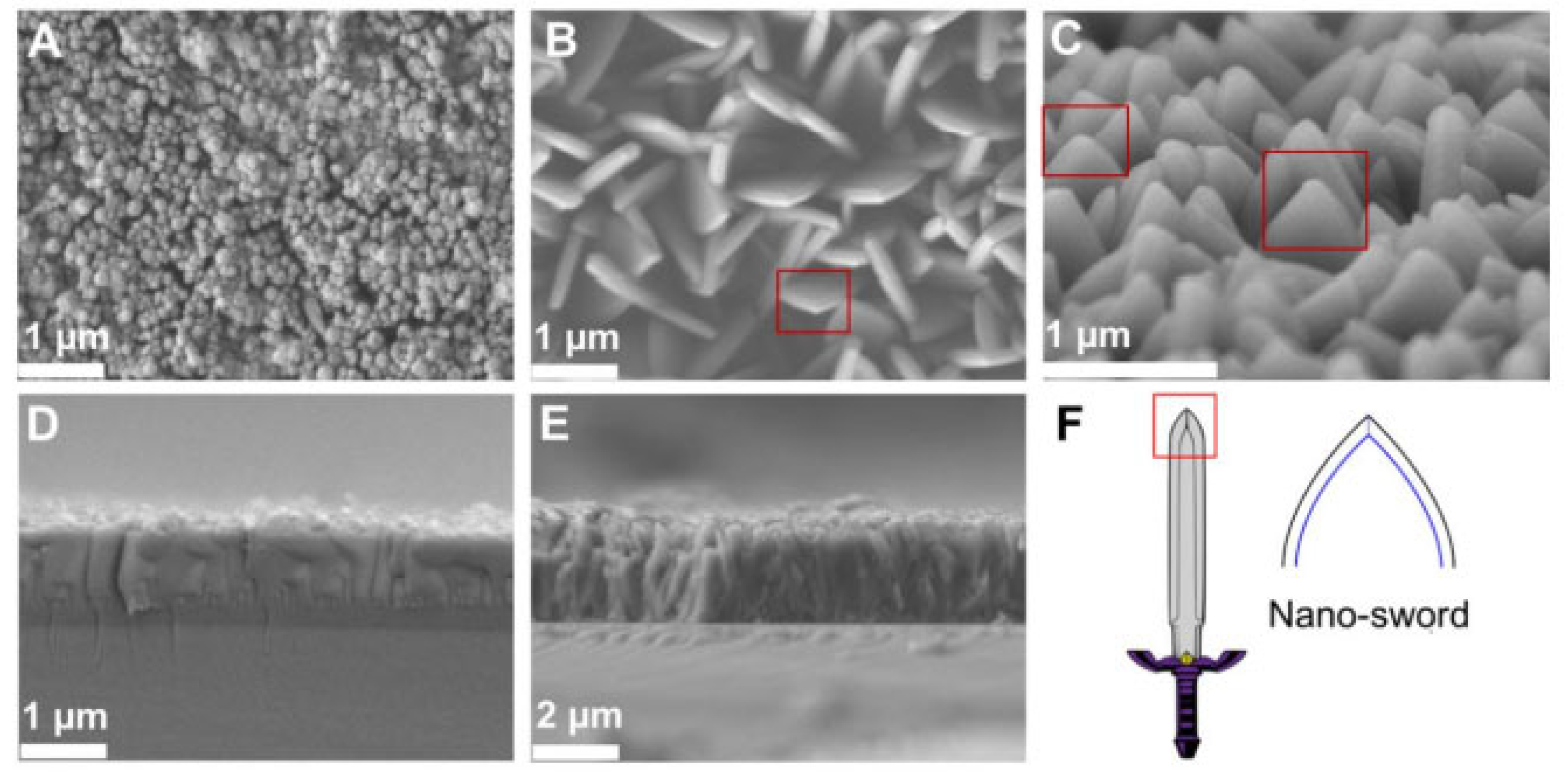 Pharmaceutics 15 00274 g014 Pharmaceutics 15 00274 g014
