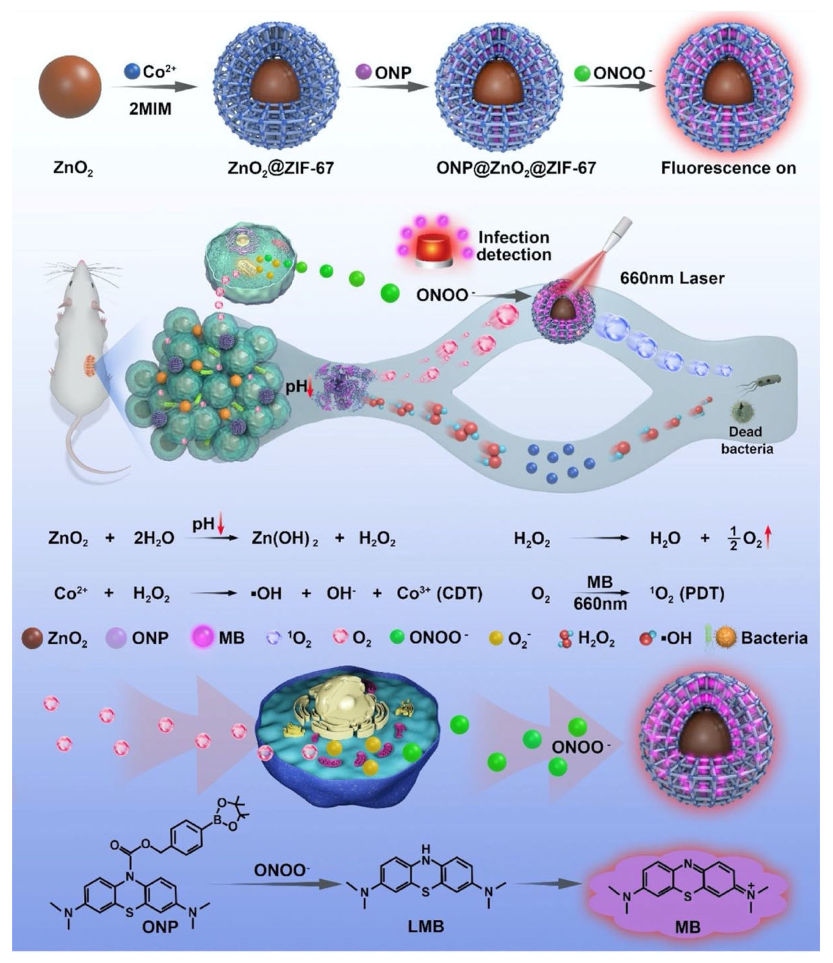 Pharmaceutics 15 00274 g016 Pharmaceutics 15 00274 g016