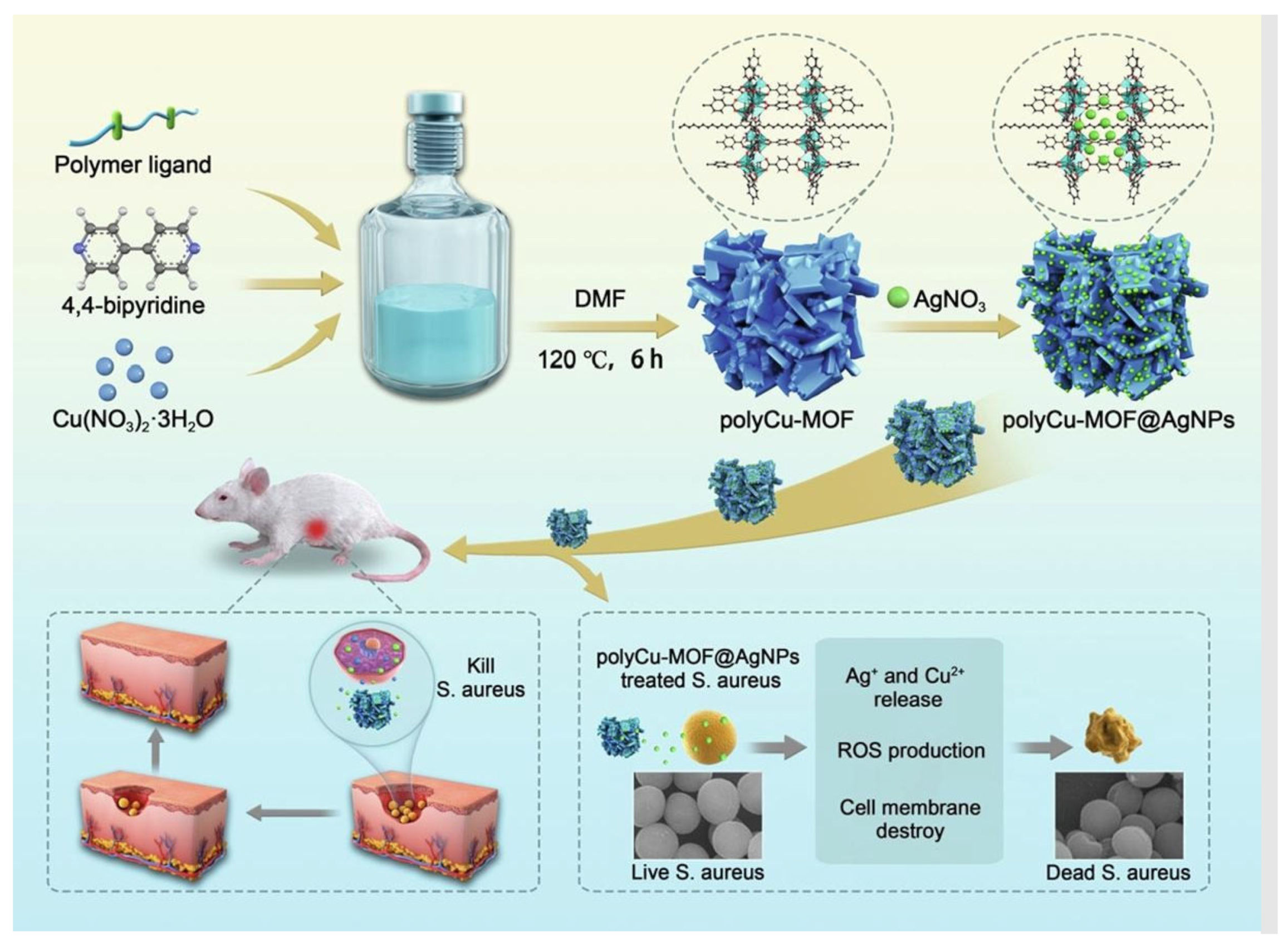Pharmaceutics 15 00274 g020 Pharmaceutics 15 00274 g020