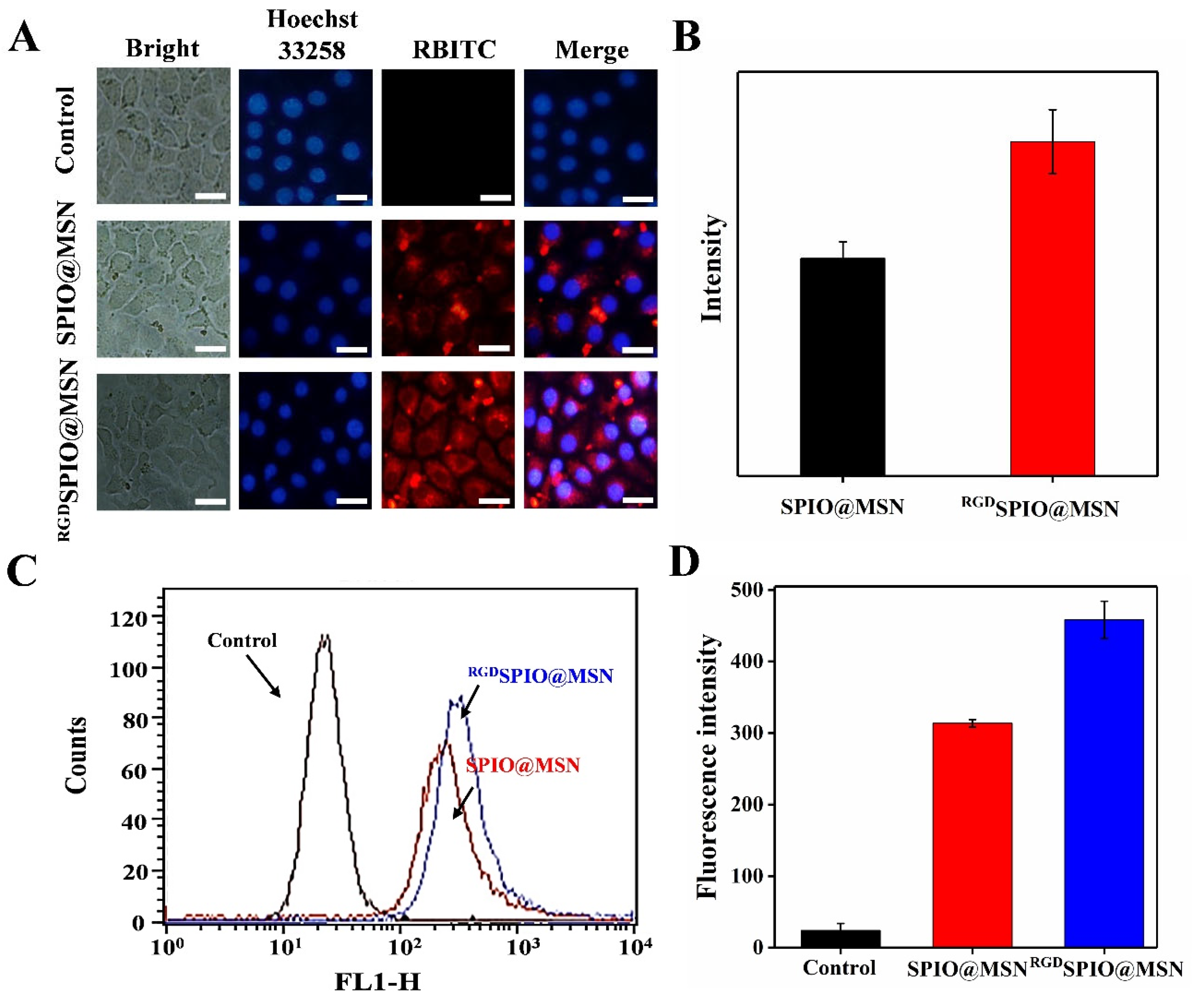 Pharmaceutics 15 00276 g004 Pharmaceutics 15 00276 g004