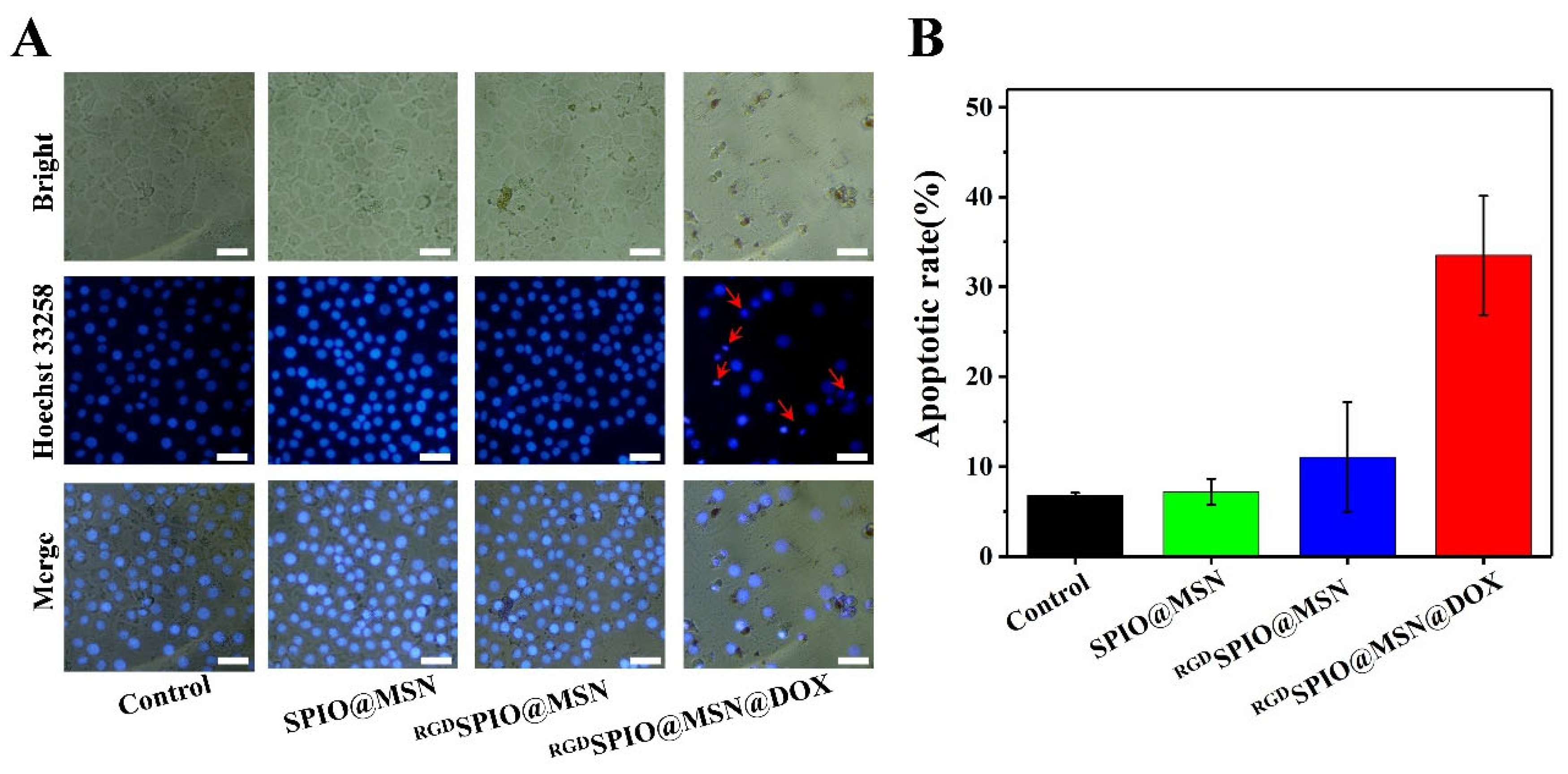Pharmaceutics 15 00276 g006 Pharmaceutics 15 00276 g006