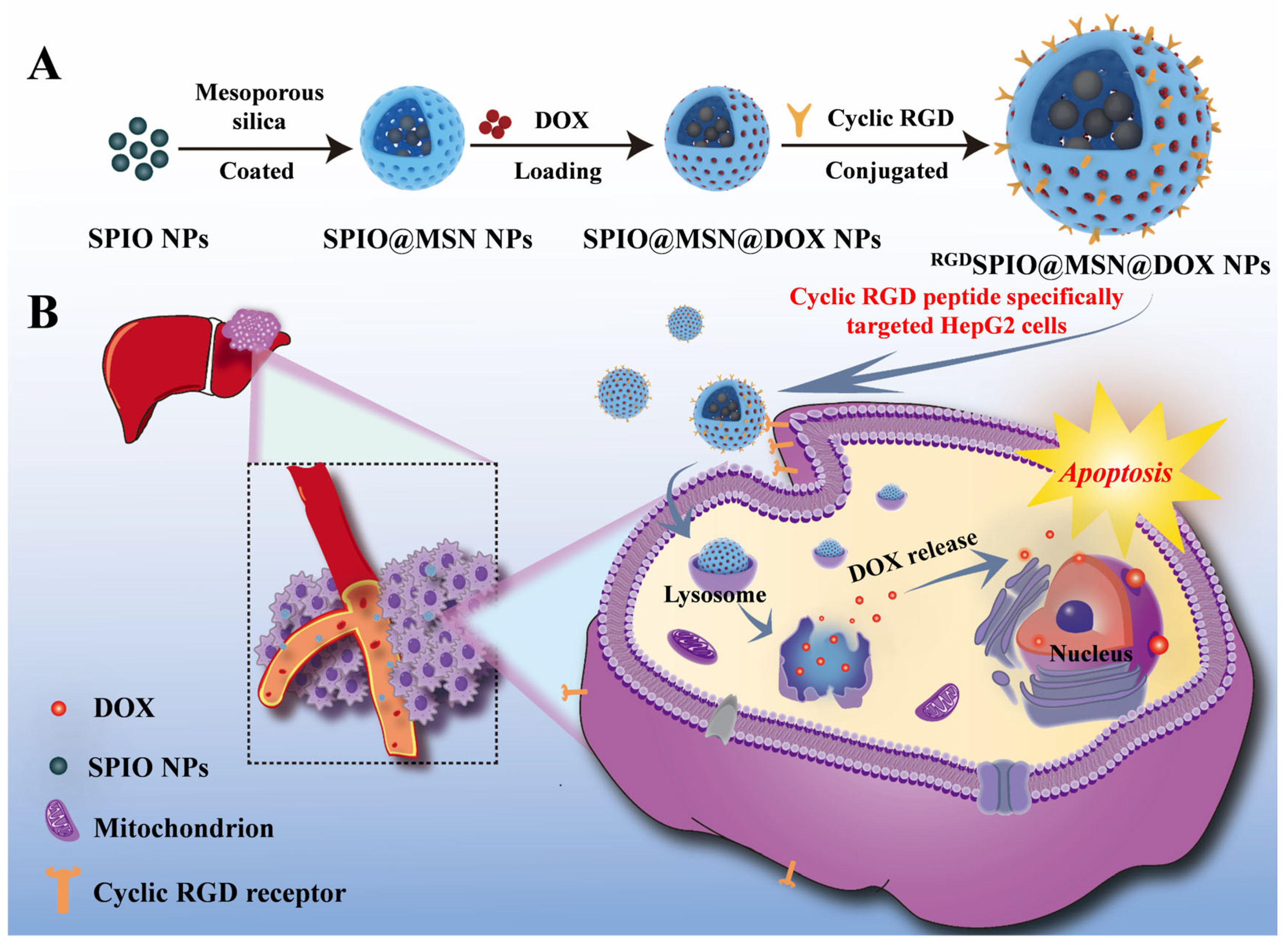 Pharmaceutics 15 00276 sch001 Pharmaceutics 15 00276 sch001
