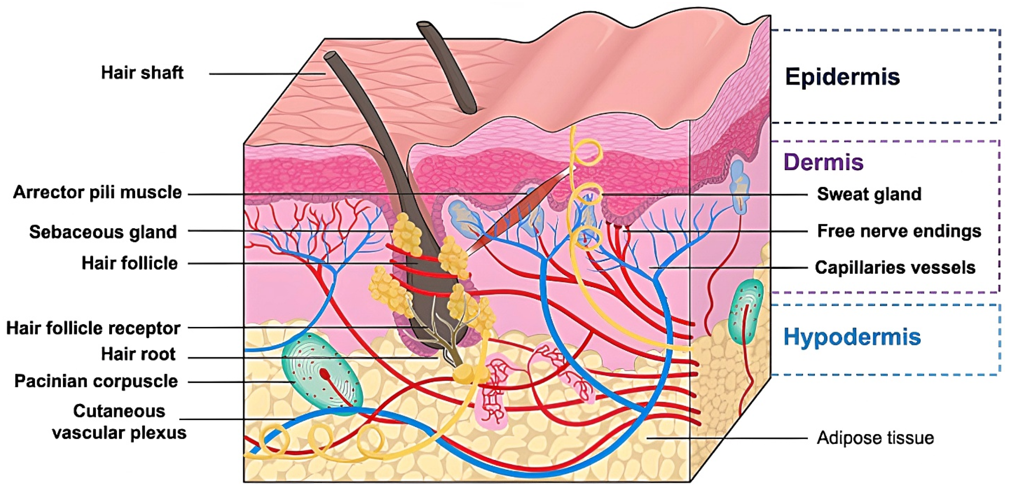 Pharmaceutics 15 00277 g001 Pharmaceutics 15 00277 g001