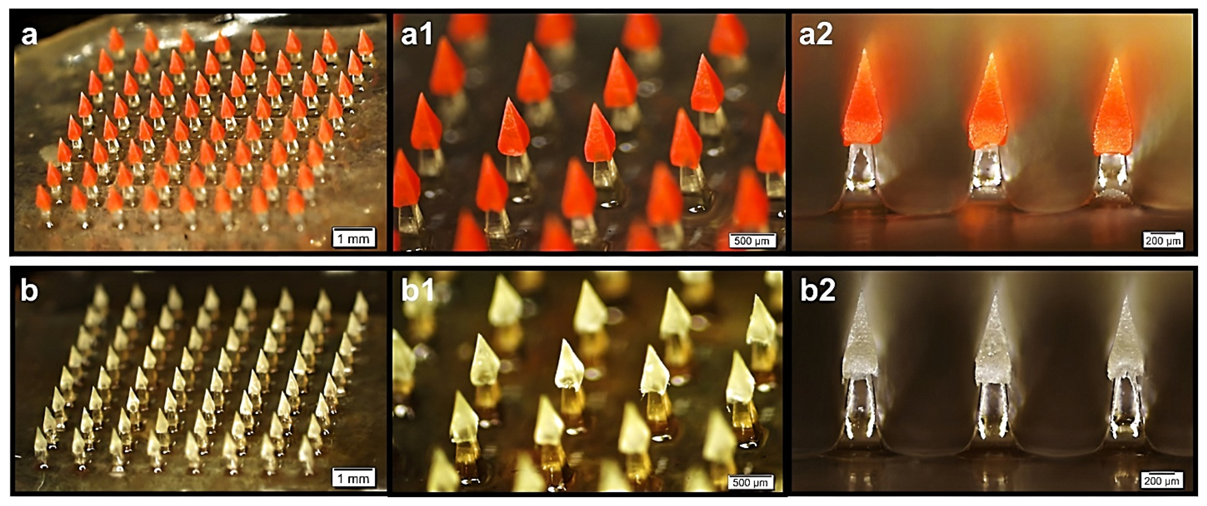 Pharmaceutics 15 00277 g003 Pharmaceutics 15 00277 g003