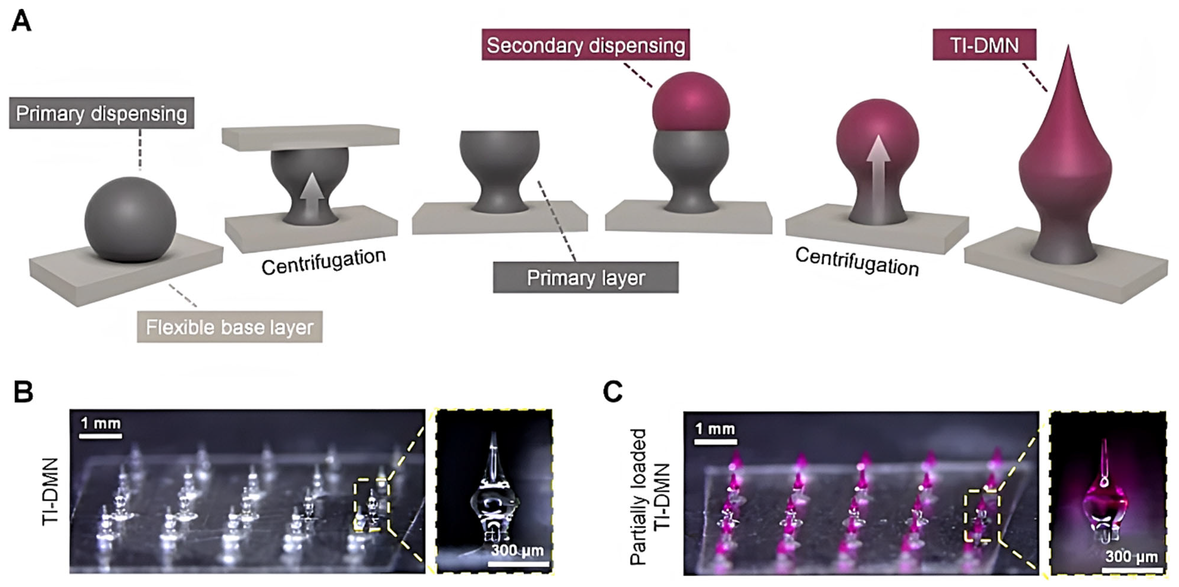 Pharmaceutics 15 00277 g004 Pharmaceutics 15 00277 g004