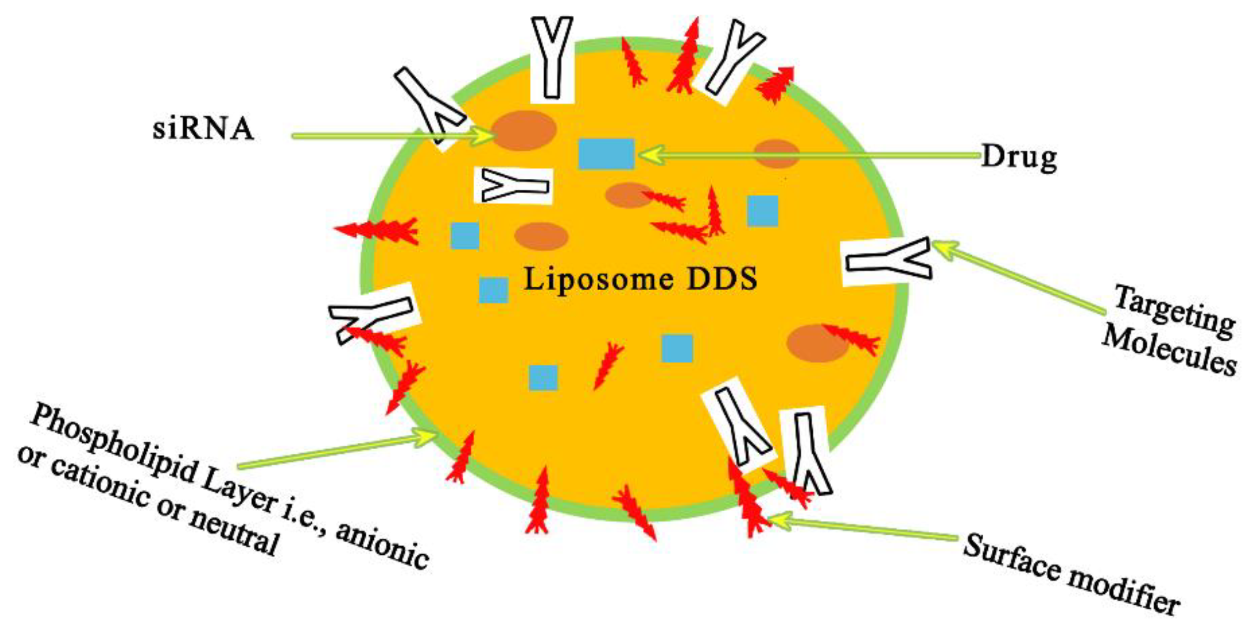 Pharmaceutics 15 00279 g004