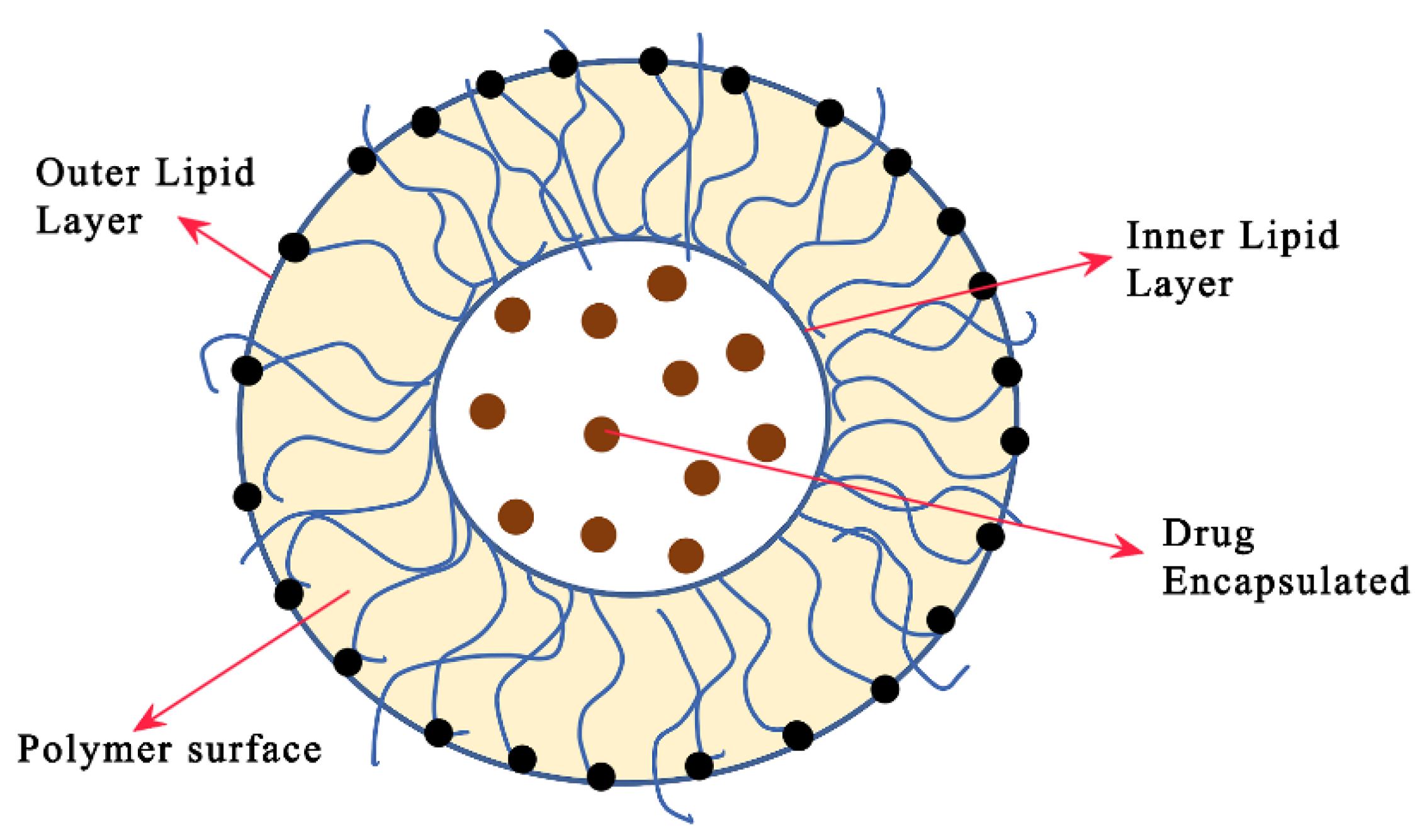 Pharmaceutics 15 00279 g007