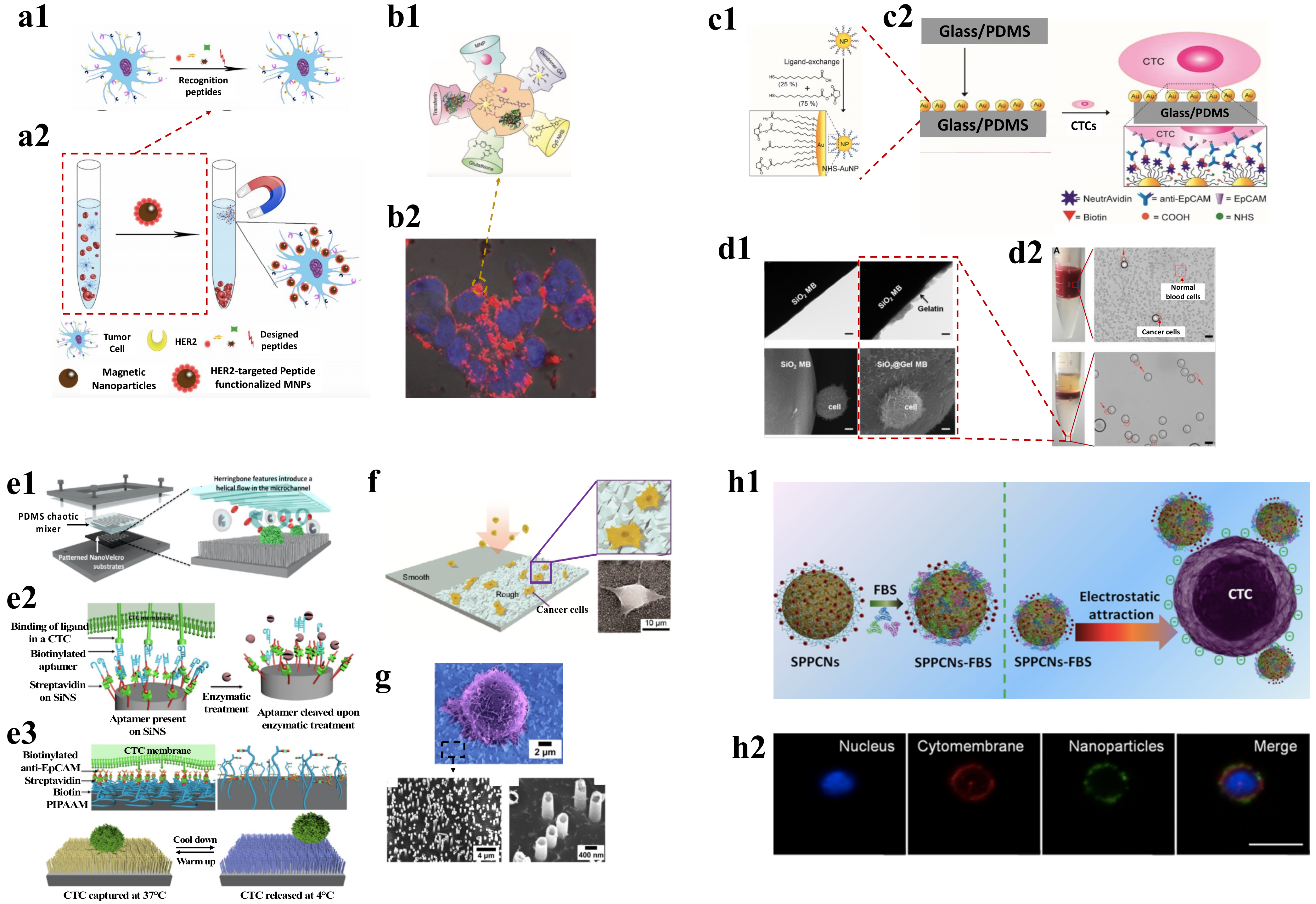 Pharmaceutics 15 00280 g004