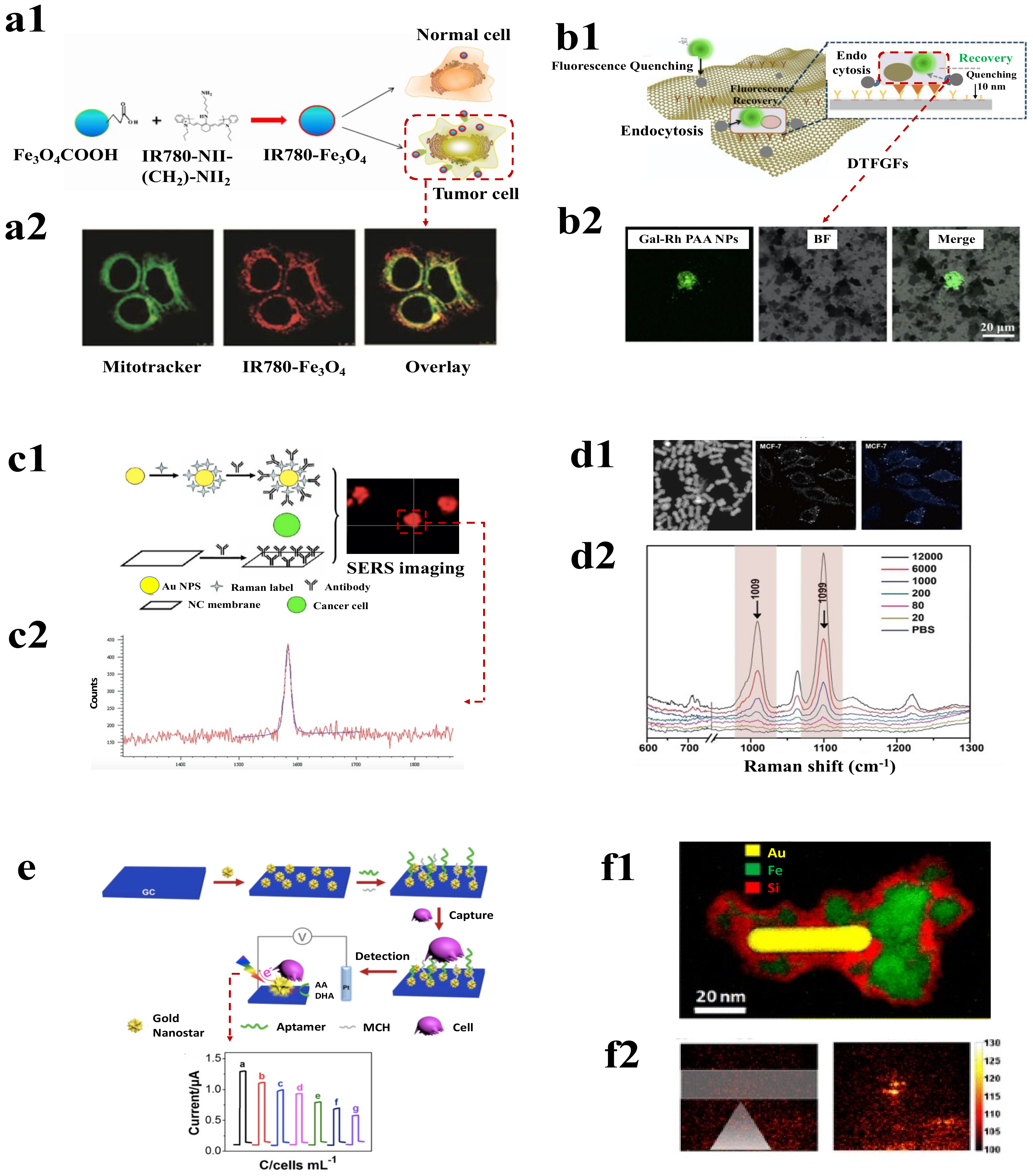 Pharmaceutics 15 00280 g005