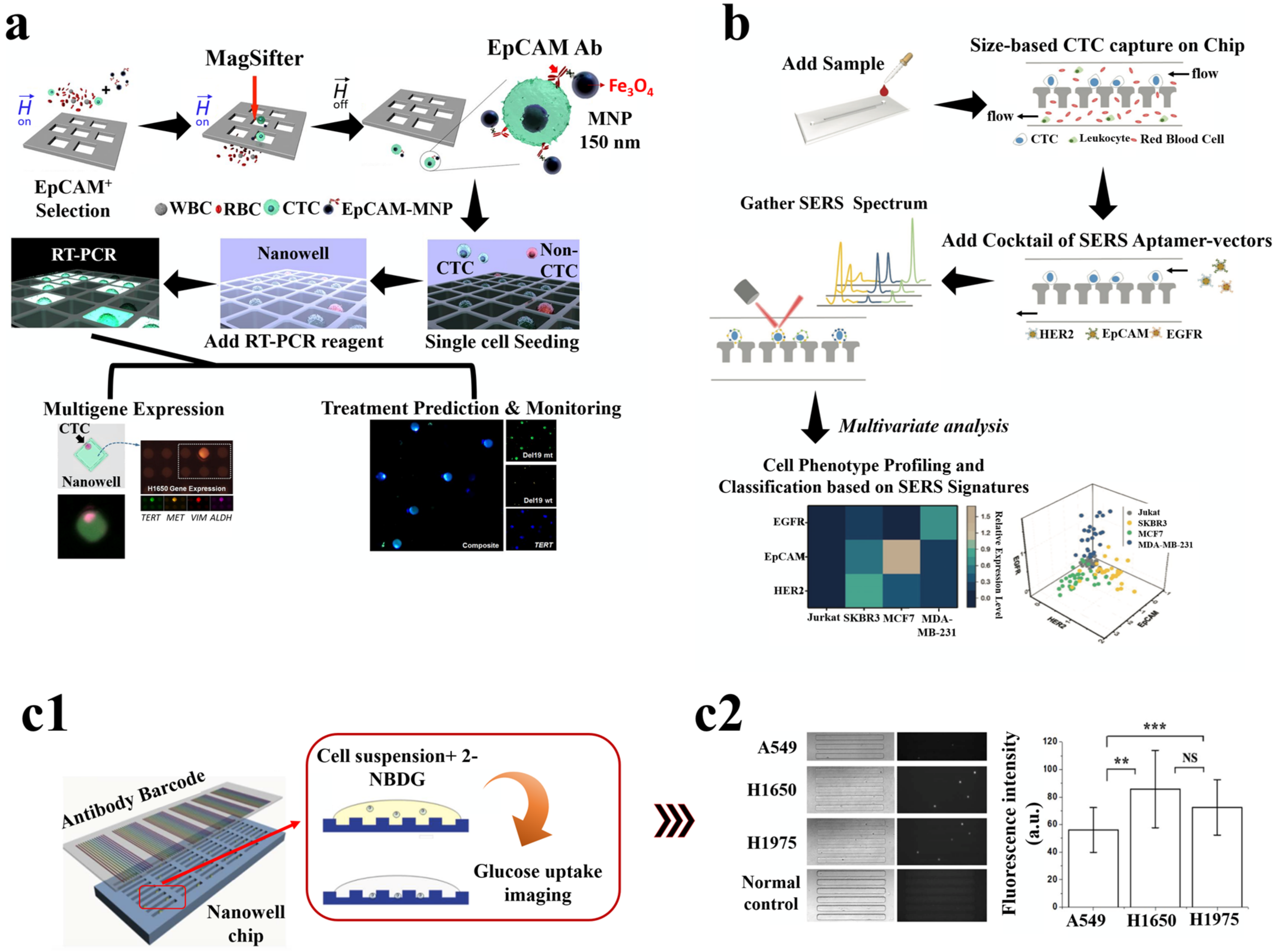 Pharmaceutics 15 00280 g007