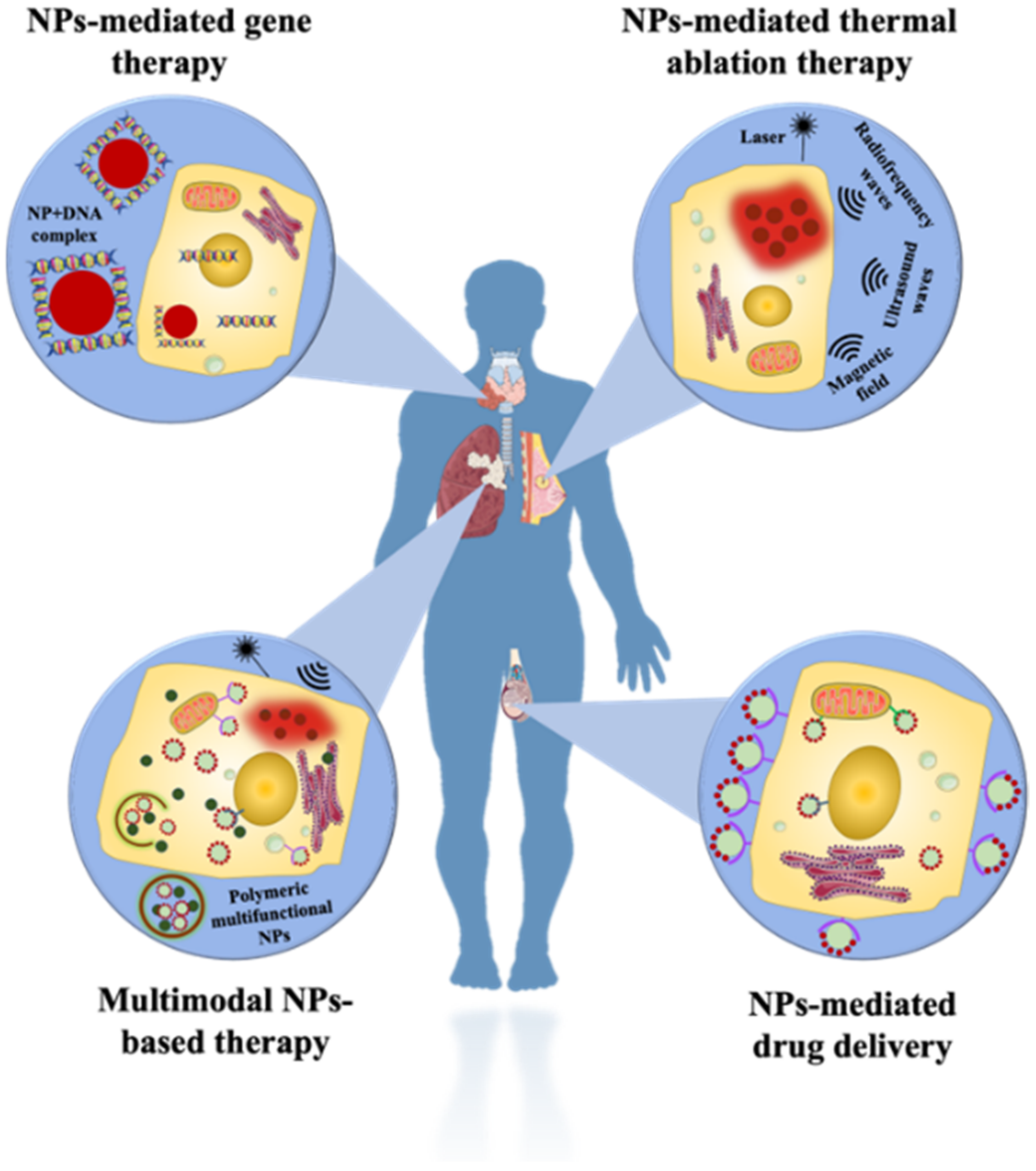 Pharmaceutics 15 00280 g008
