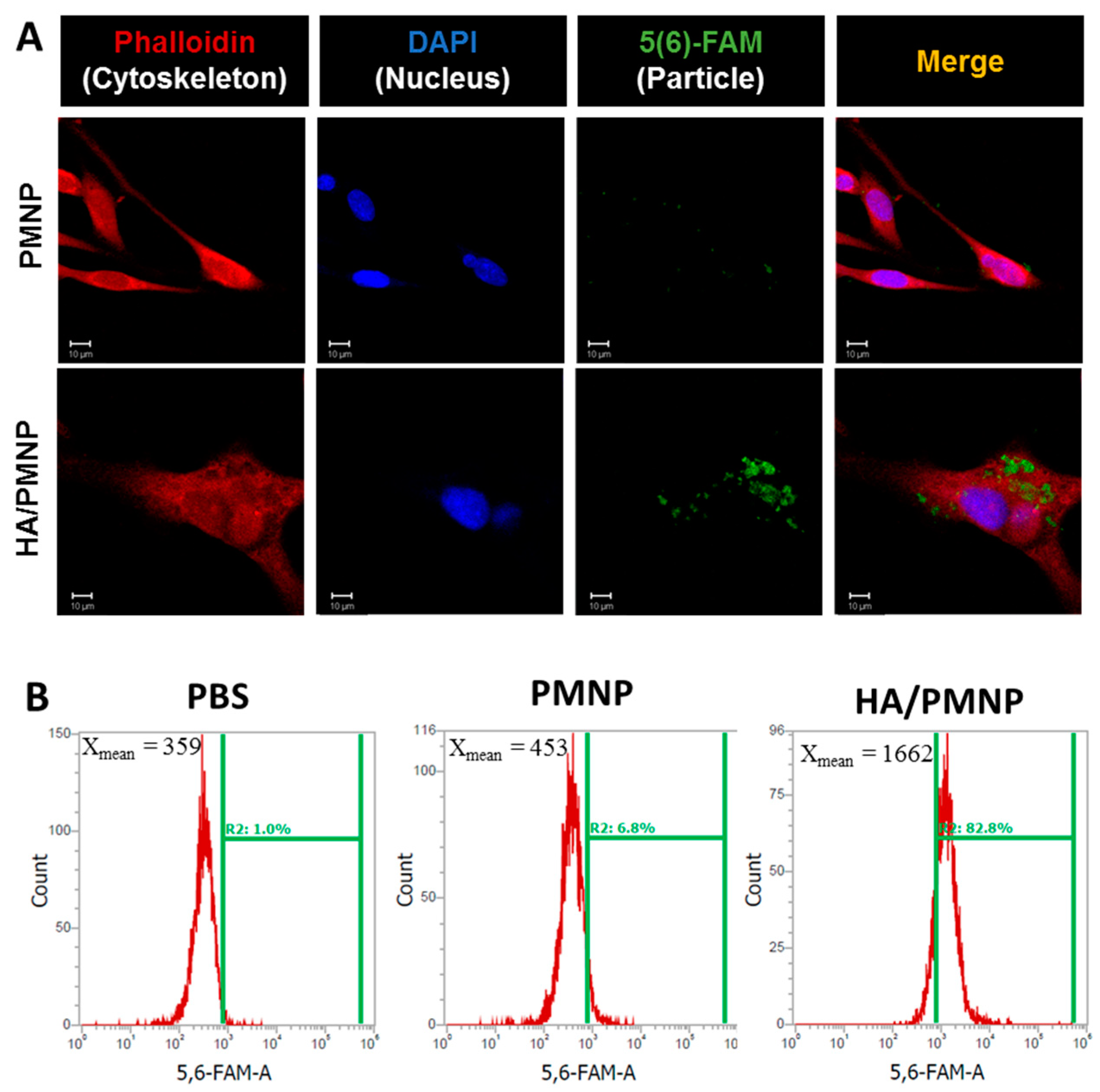 Pharmaceutics 15 00290 g004 Pharmaceutics 15 00290 g004