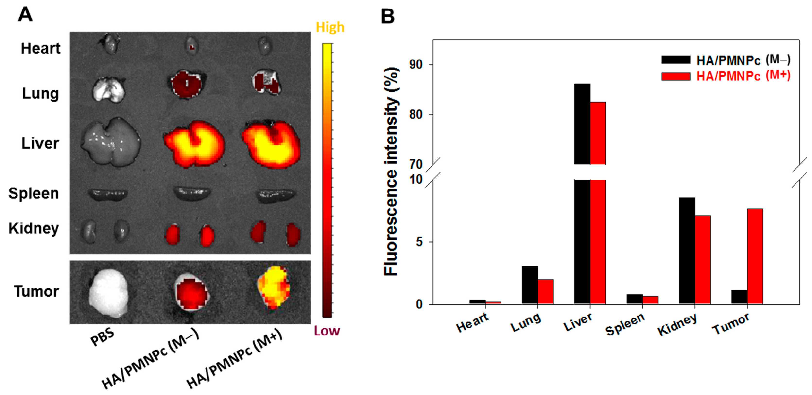 Pharmaceutics 15 00290 g009 Pharmaceutics 15 00290 g009