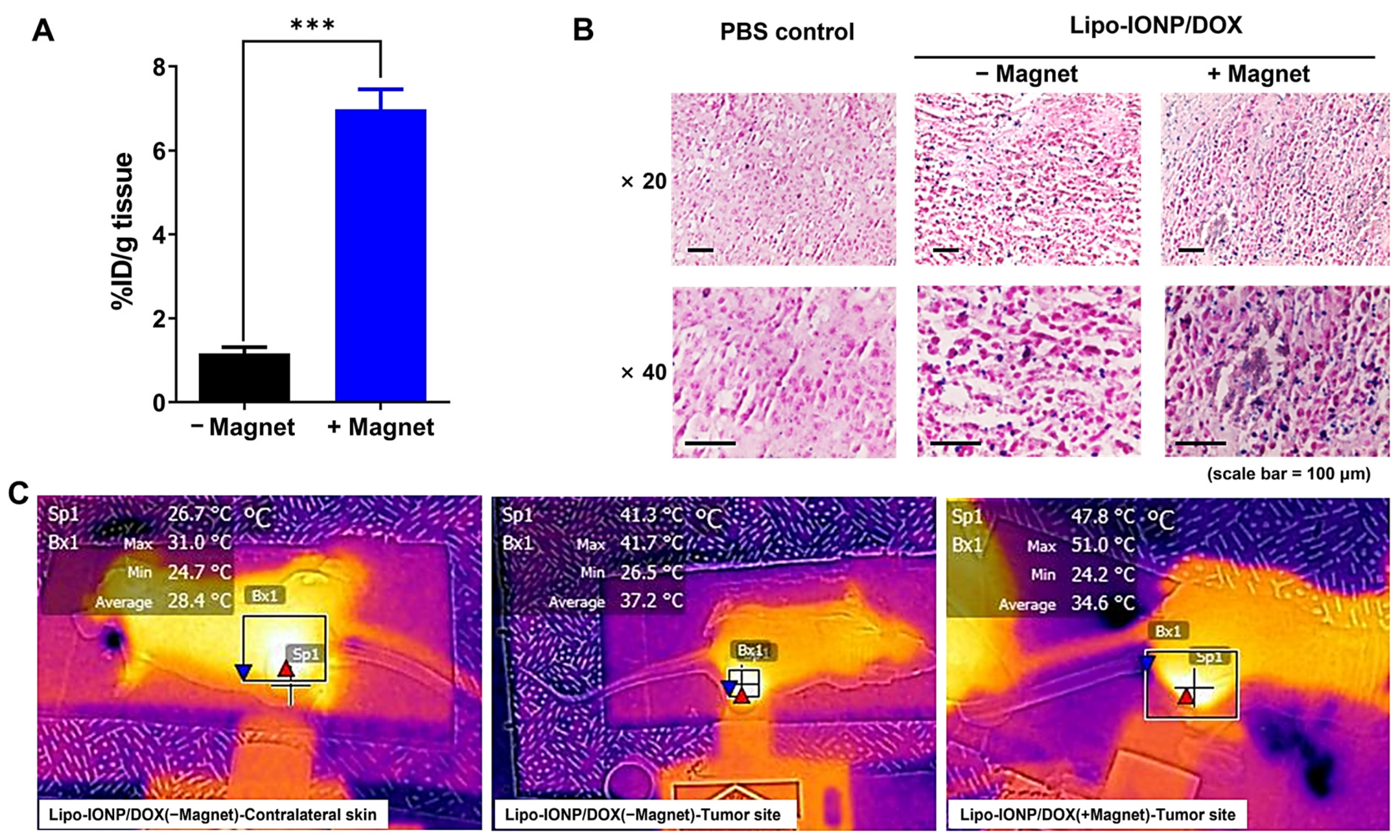 Pharmaceutics 15 00292 g008 Pharmaceutics 15 00292 g008