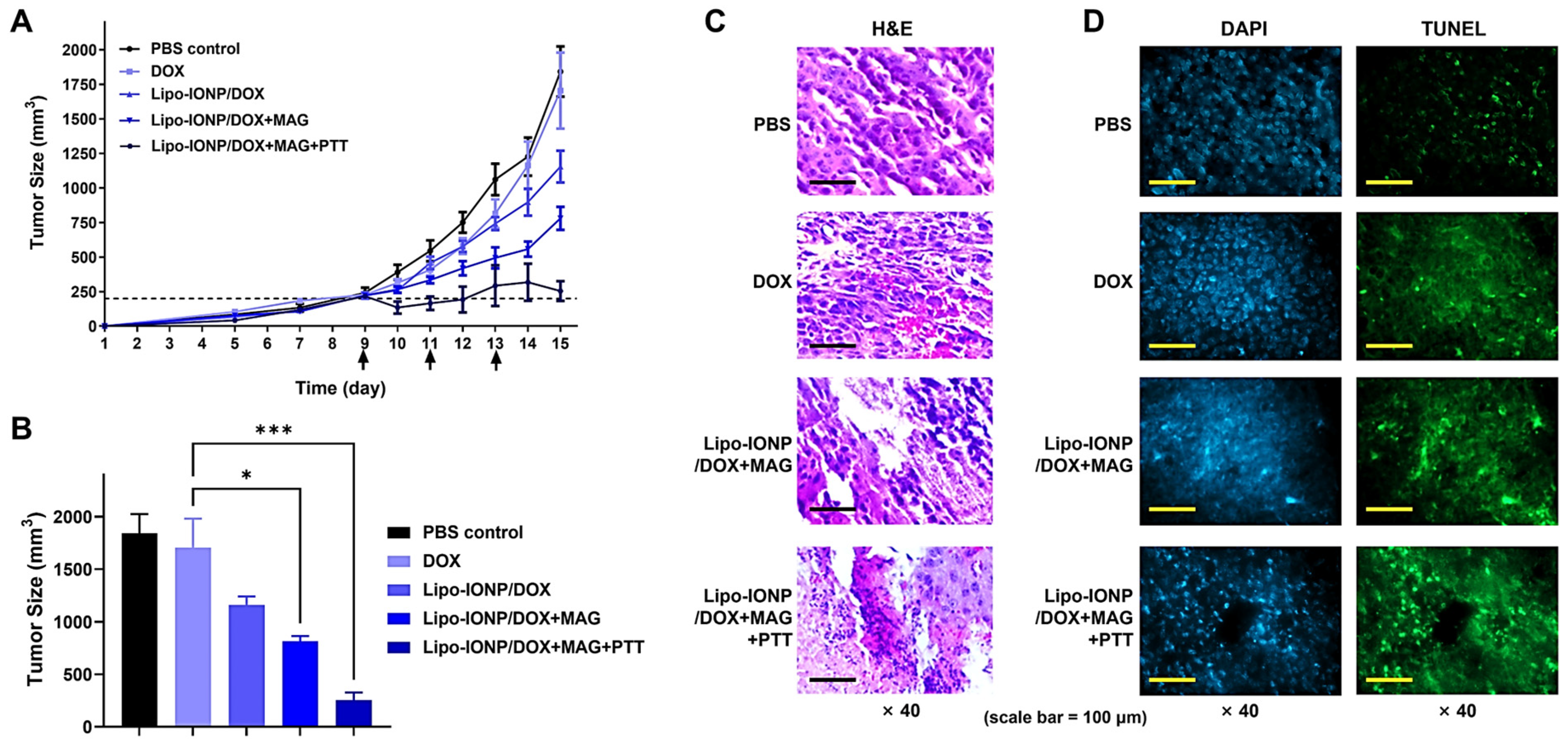 Pharmaceutics 15 00292 g009 Pharmaceutics 15 00292 g009