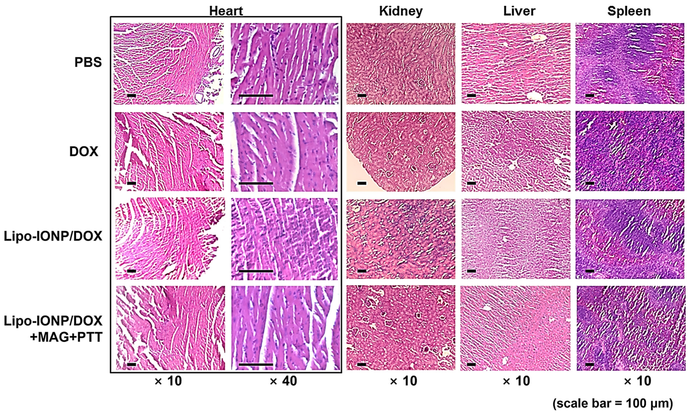Pharmaceutics 15 00292 g010 Pharmaceutics 15 00292 g010