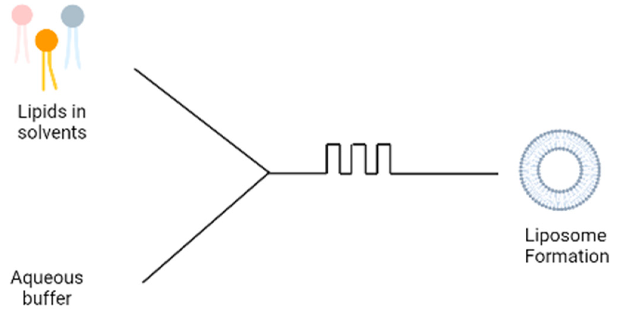 Pharmaceutics 15 00294 g004