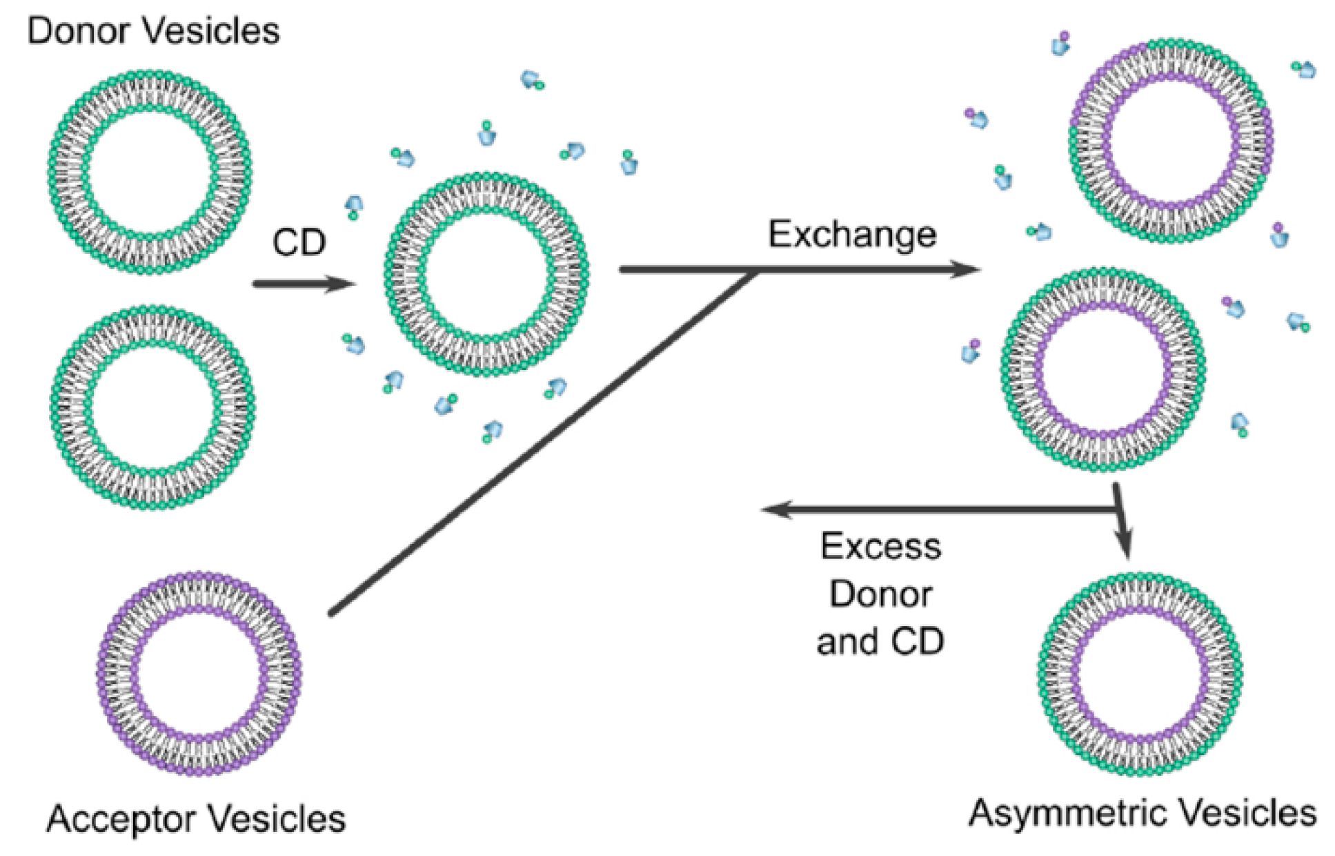 Pharmaceutics 15 00294 g006