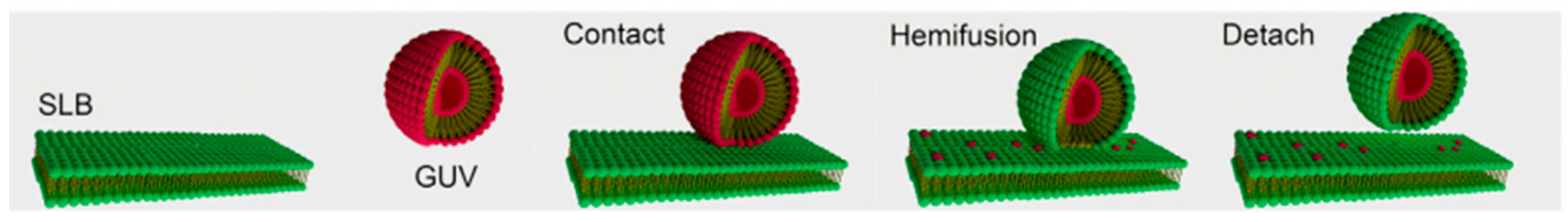 Pharmaceutics 15 00294 g008