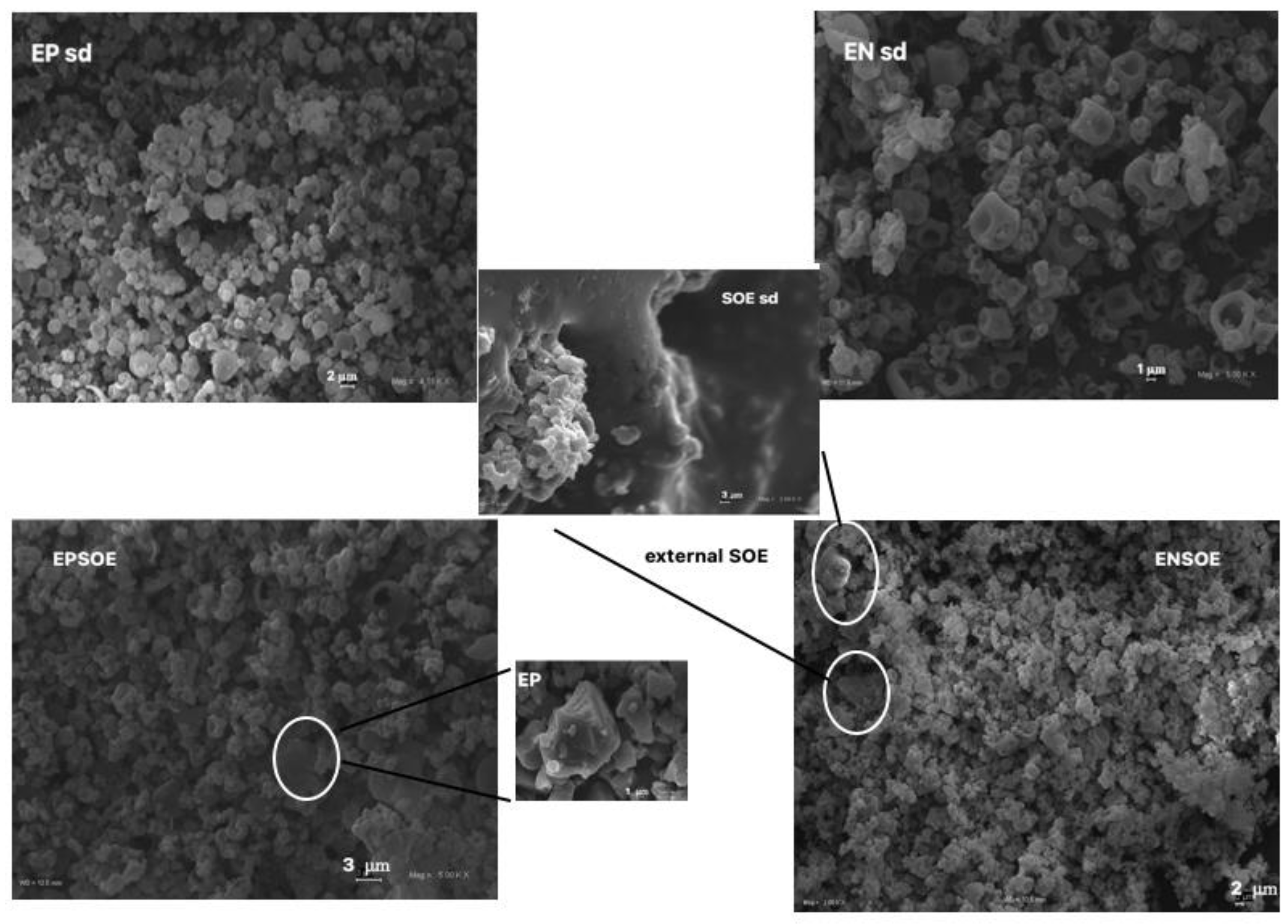 Pharmaceutics 15 00295 g002 Pharmaceutics 15 00295 g002