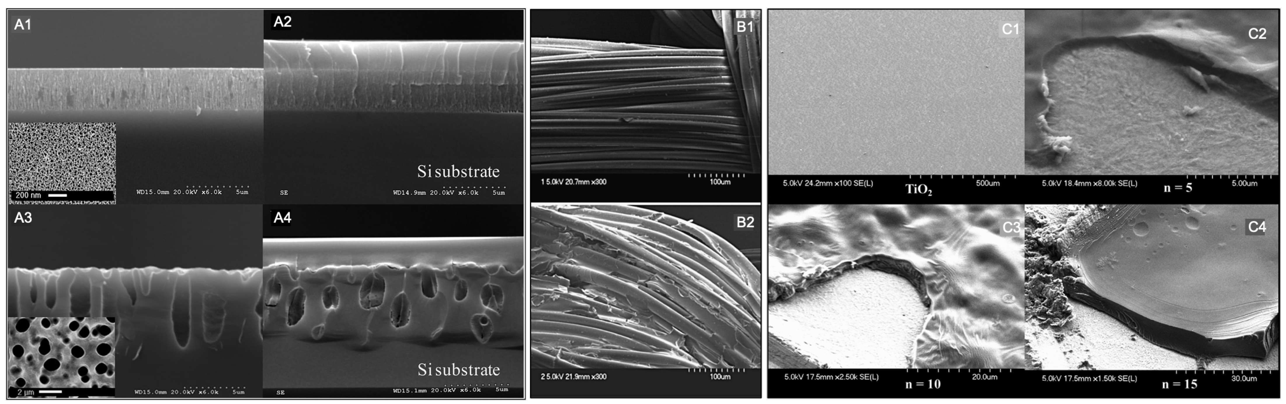 Pharmaceutics 15 00296 g005 Pharmaceutics 15 00296 g005