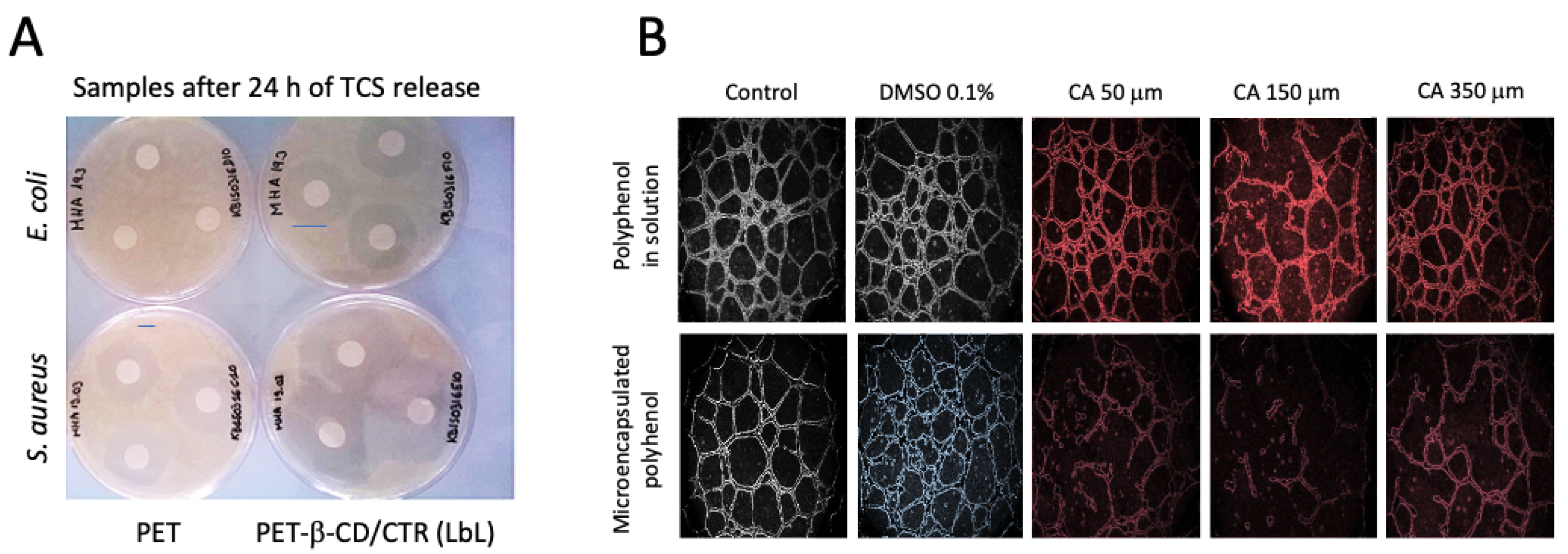 Pharmaceutics 15 00296 g006 Pharmaceutics 15 00296 g006