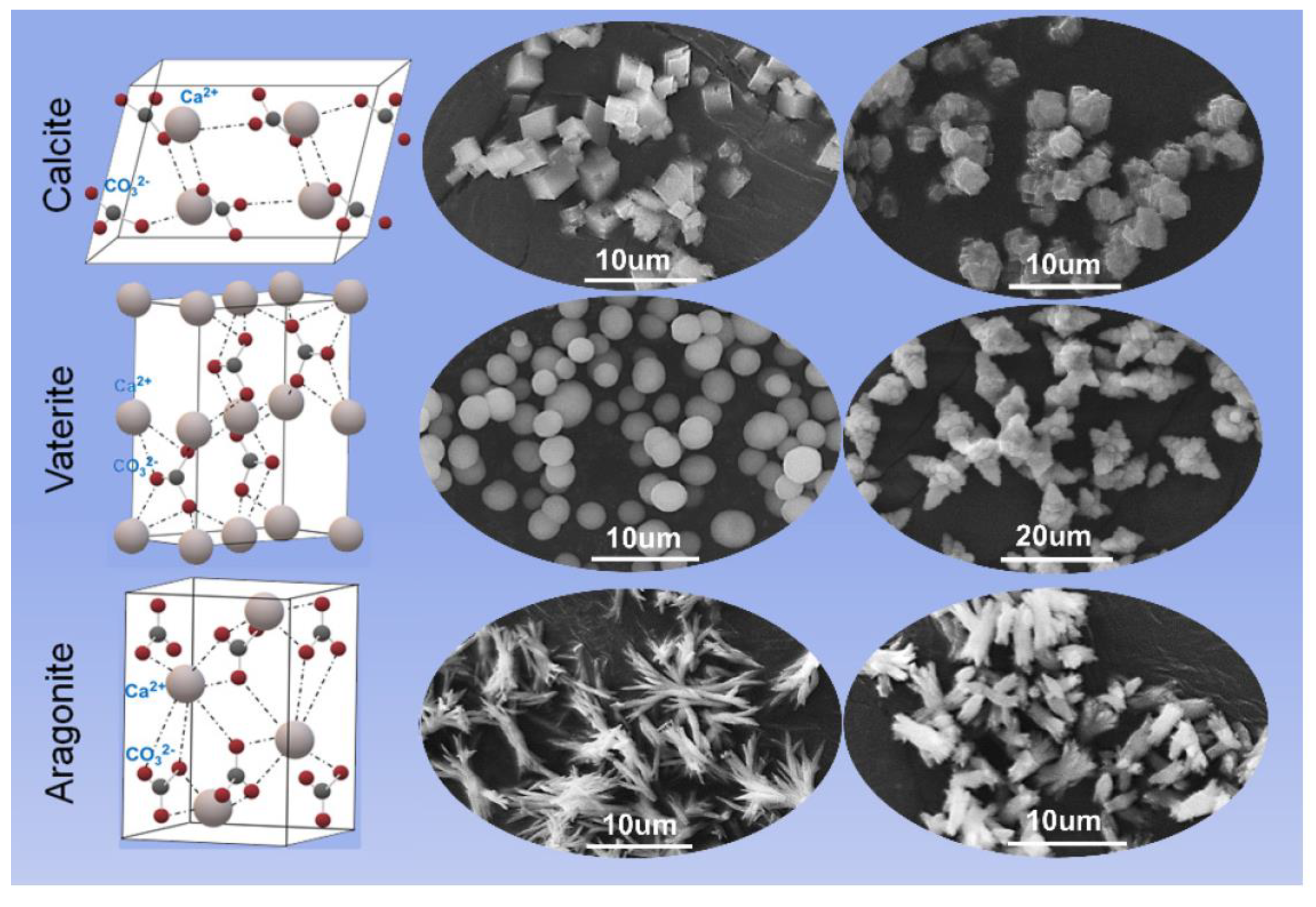 Pharmaceutics 15 00300 g001 Pharmaceutics 15 00300 g001