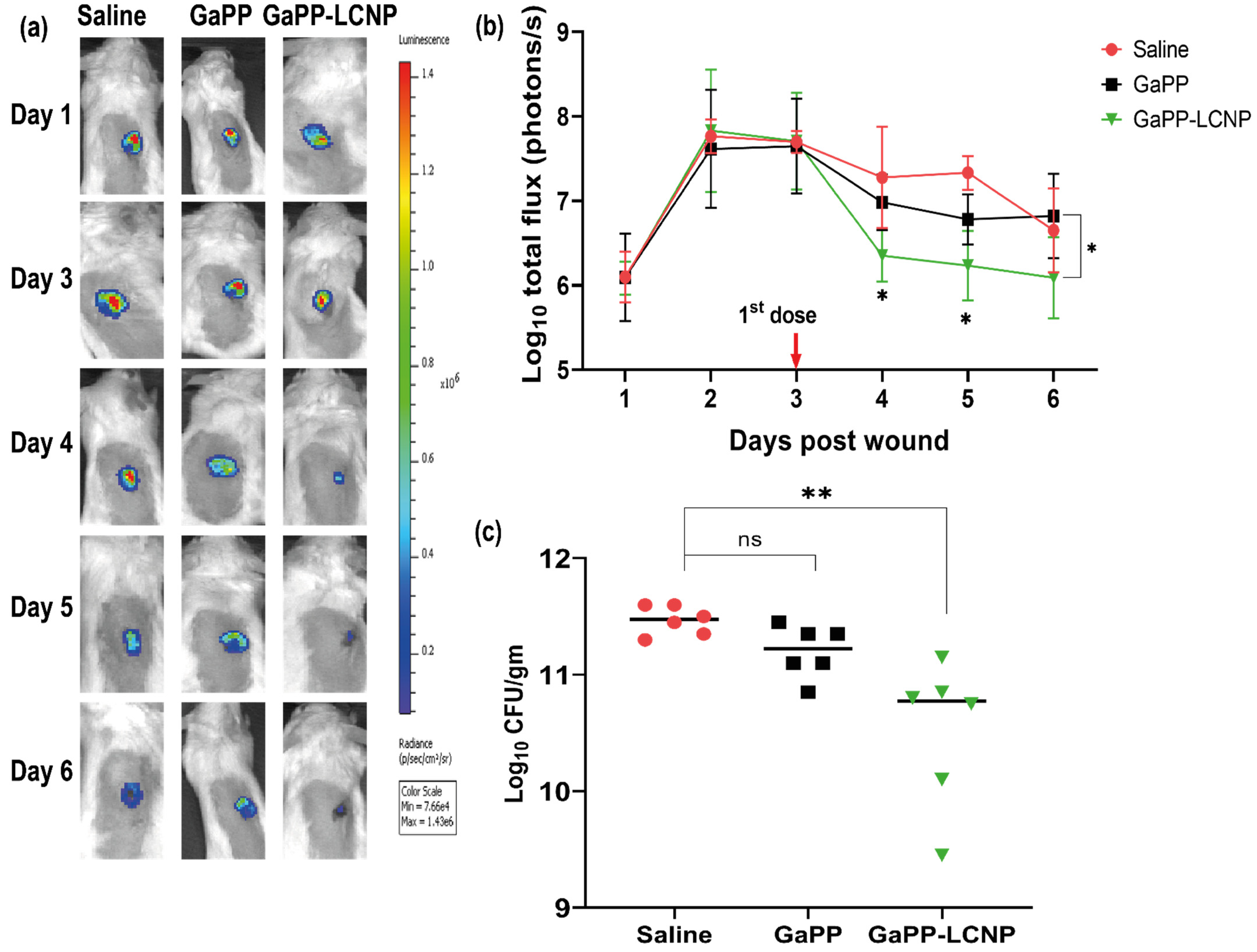 Pharmaceutics 15 00305 g009 Pharmaceutics 15 00305 g009