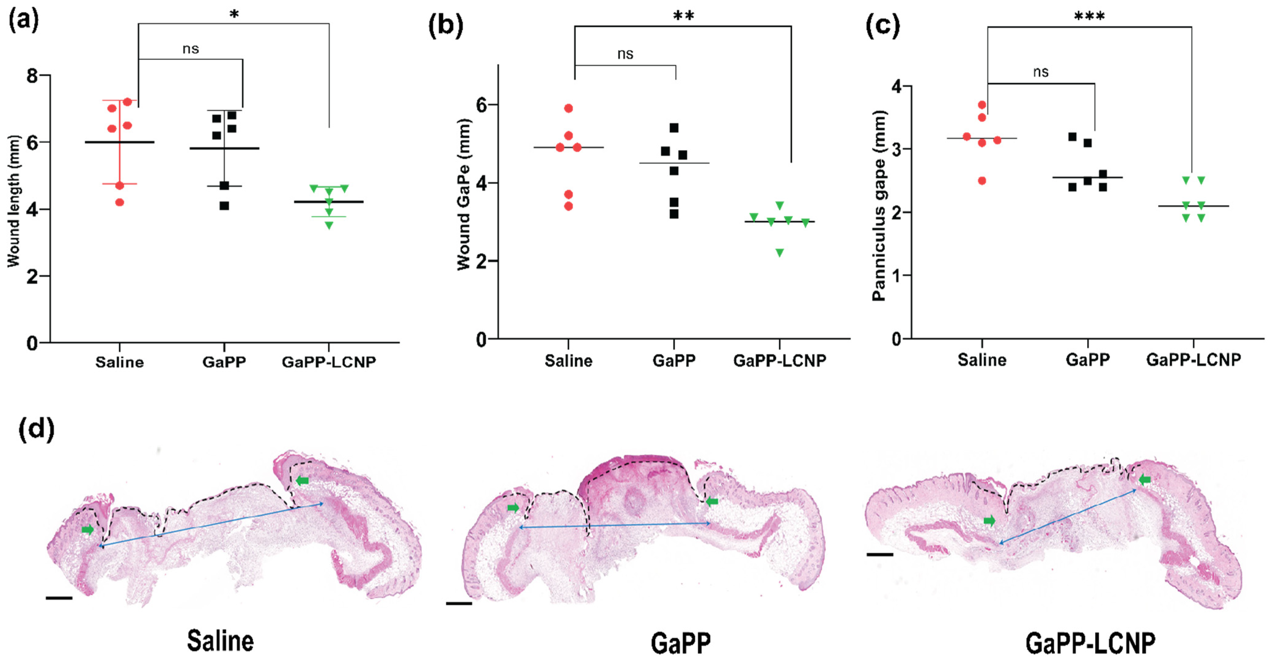 Pharmaceutics 15 00305 g011 Pharmaceutics 15 00305 g011