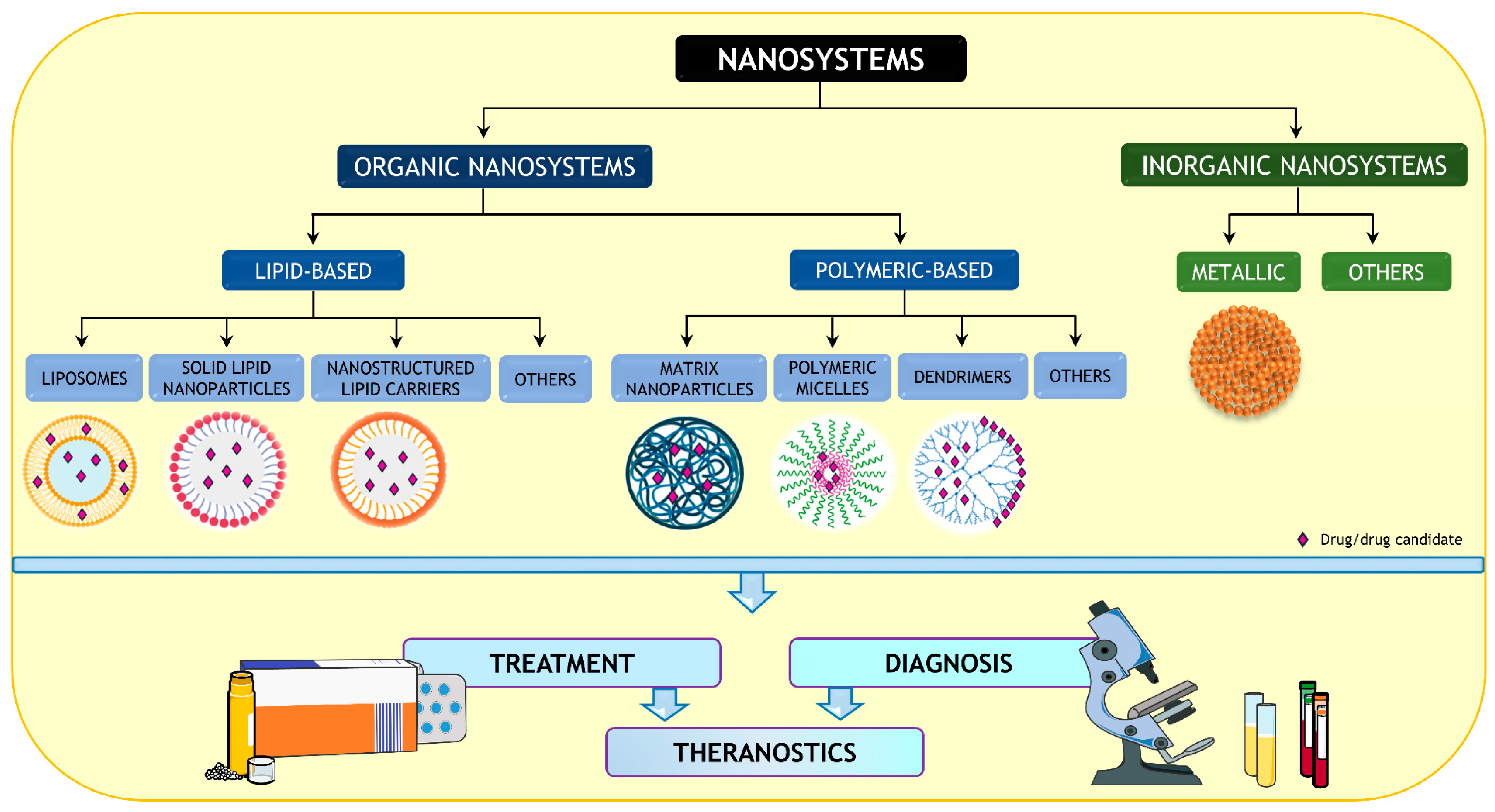 Pharmaceutics 15 00306 g002